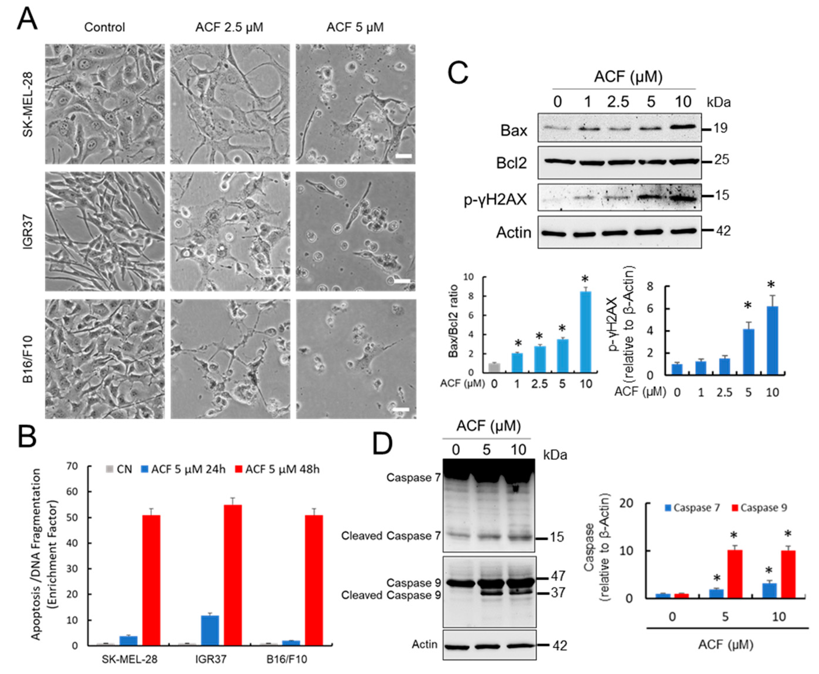 Cancers 13 00102 g005