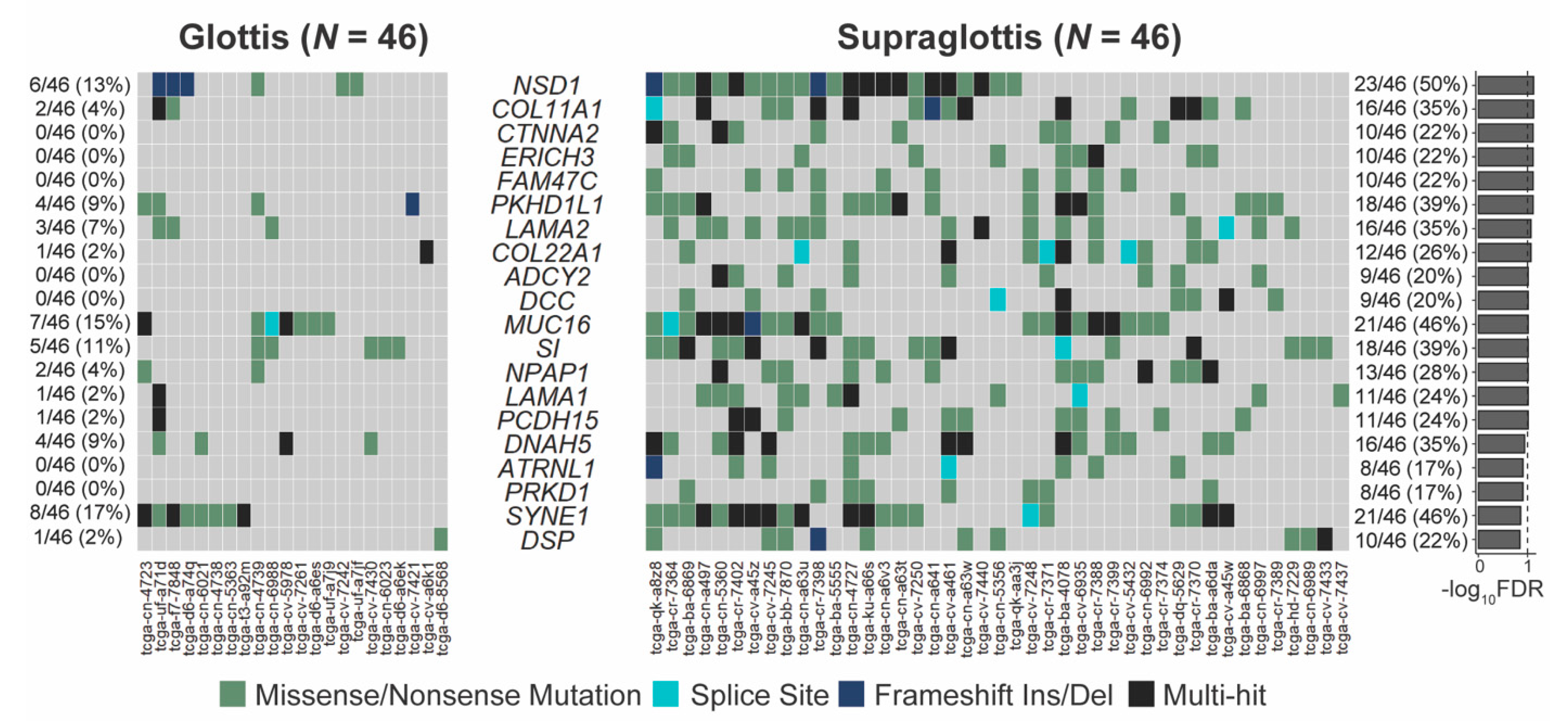 Cancers 13 00105 g002