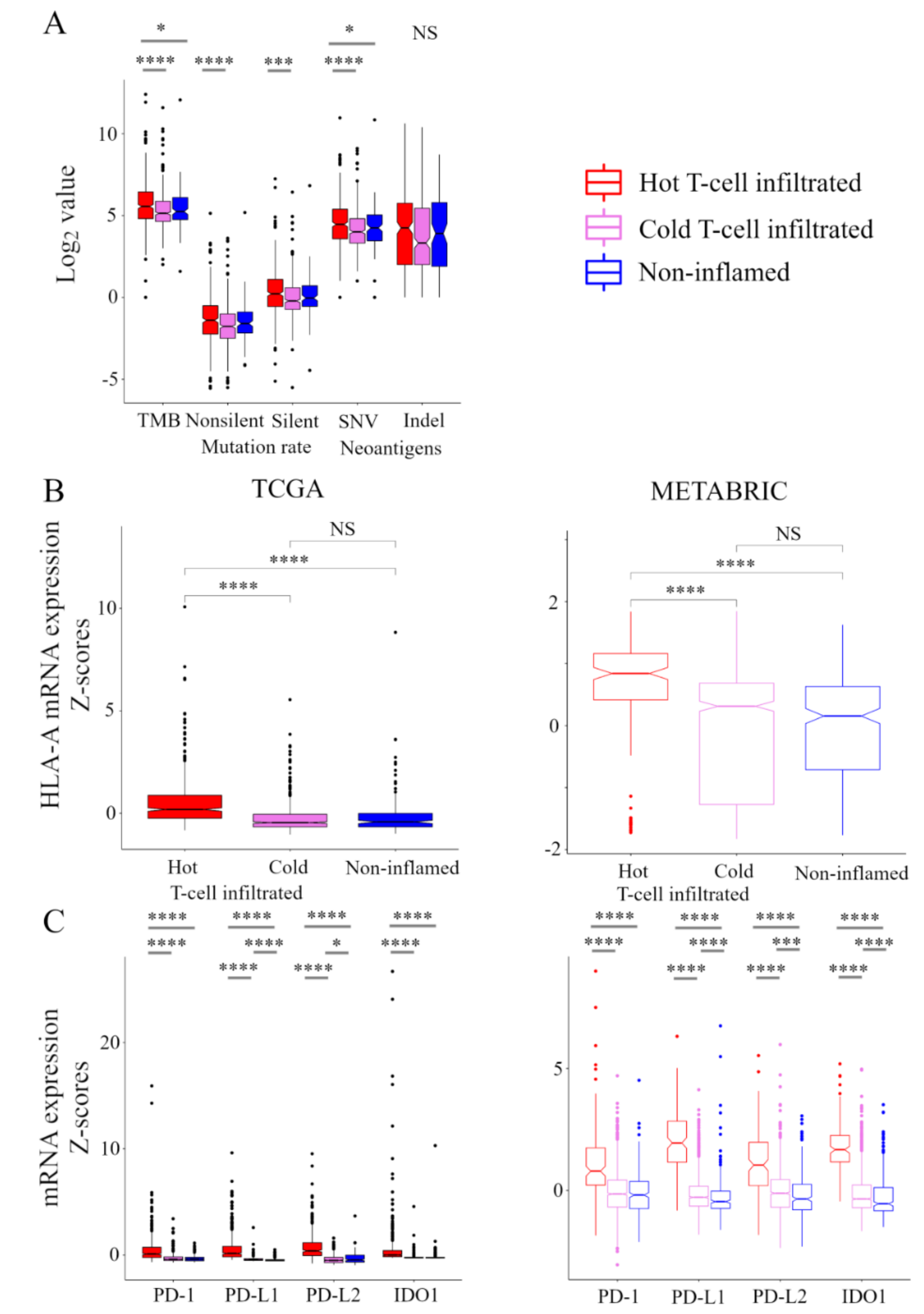 Cancers 13 00110 g003