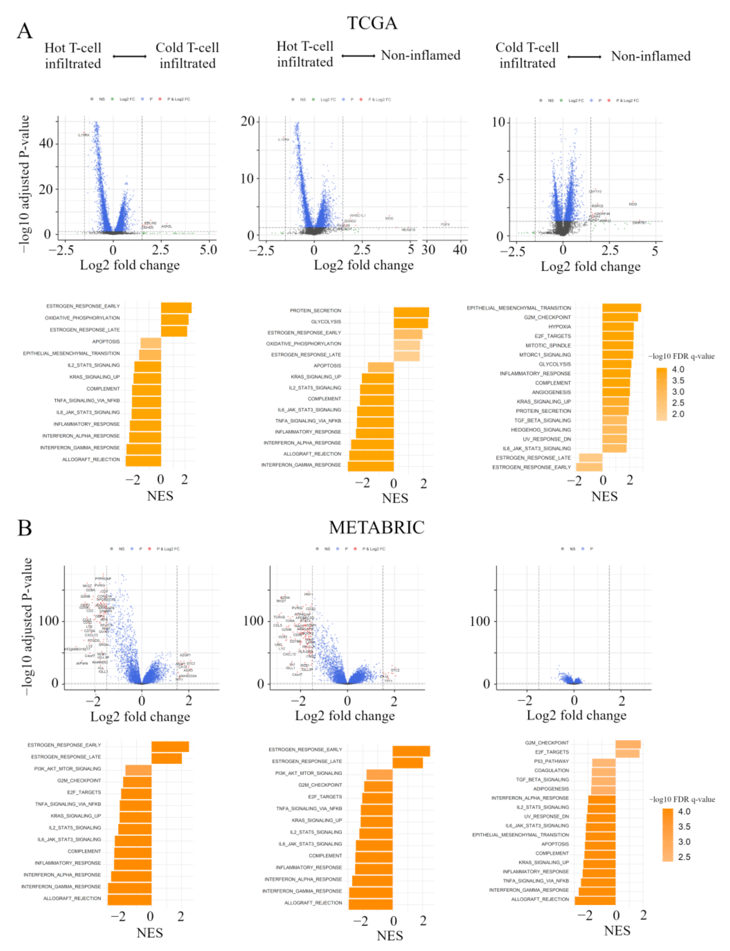 Cancers 13 00110 g004