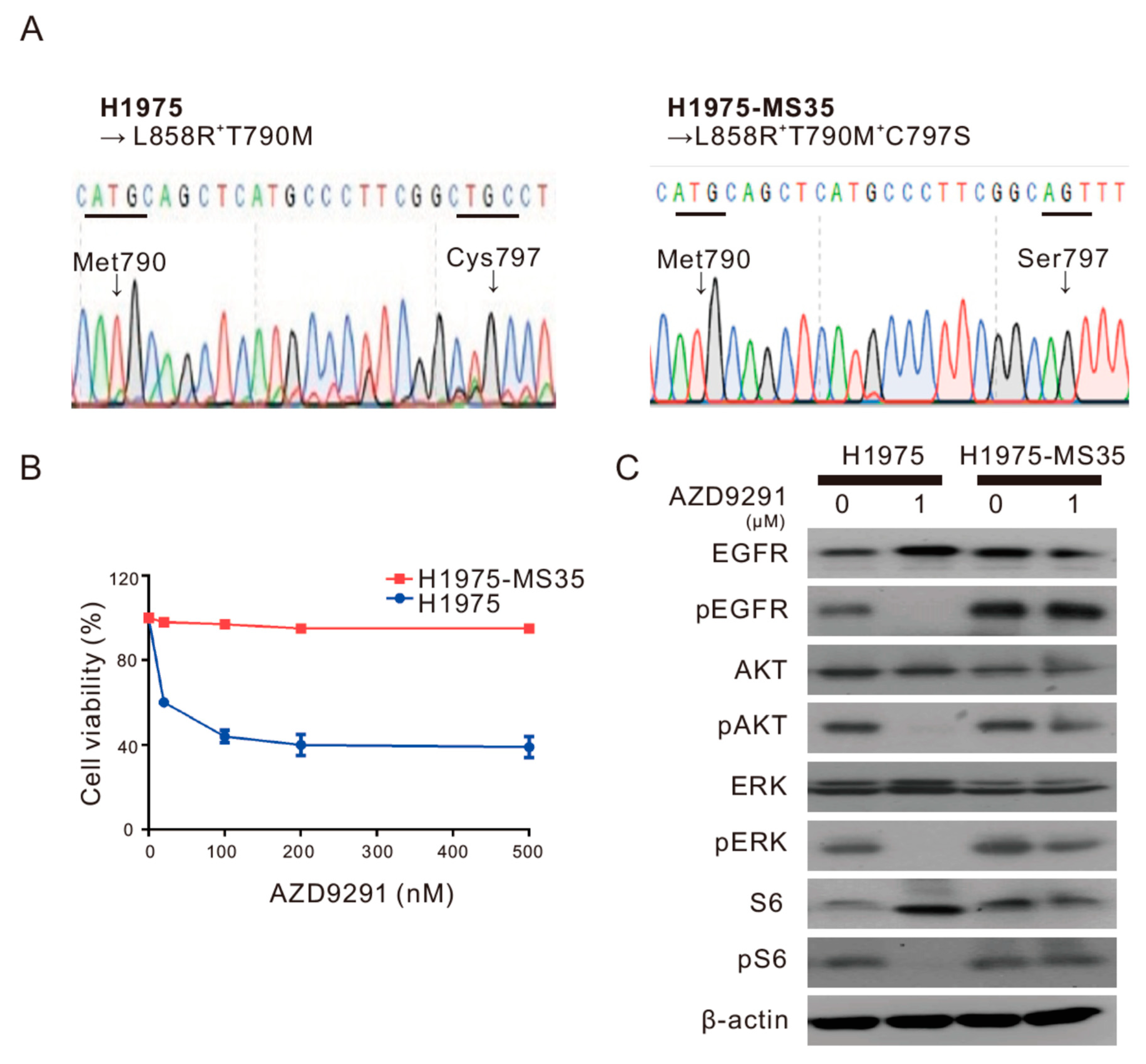 Cancers 13 00111 g001
