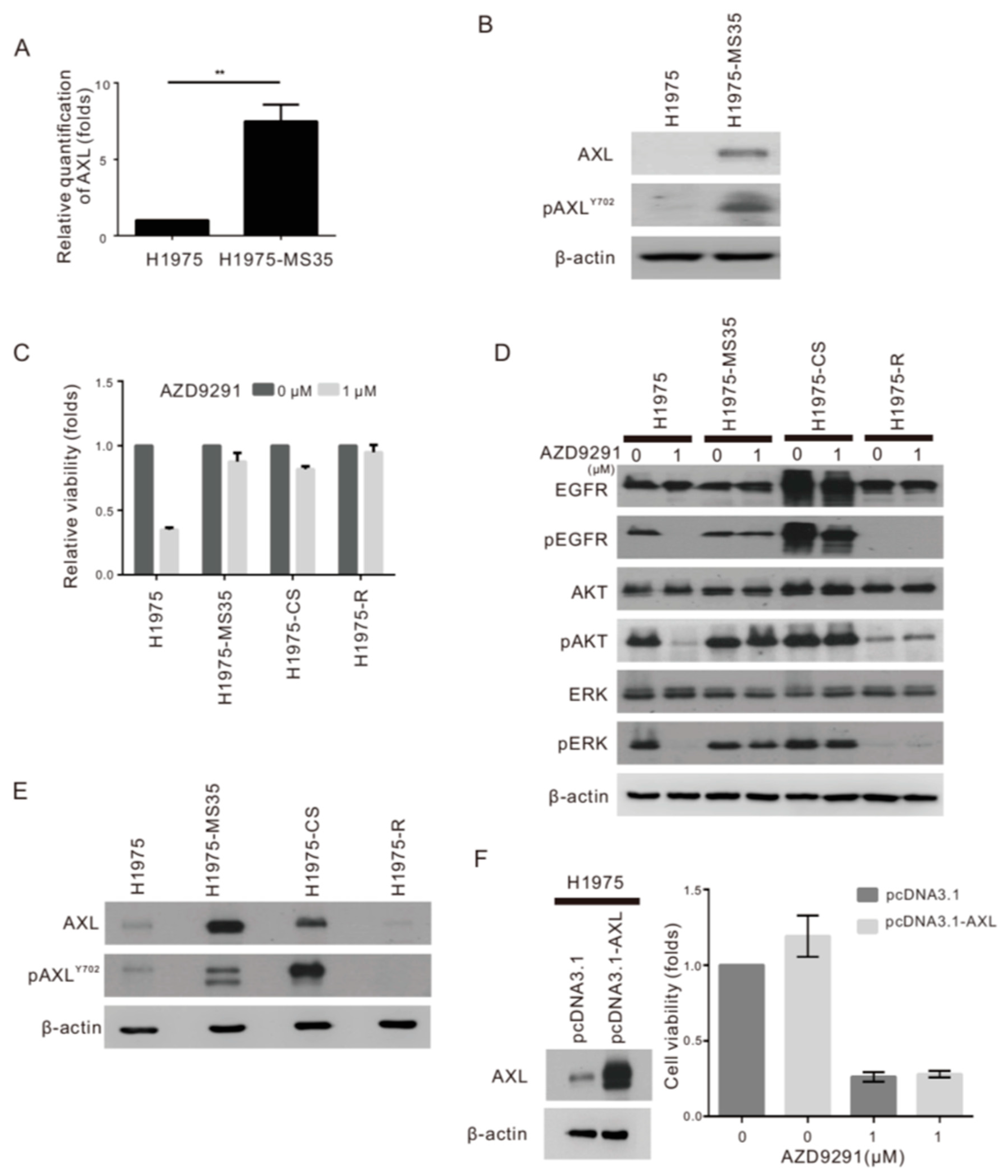 Cancers 13 00111 g002