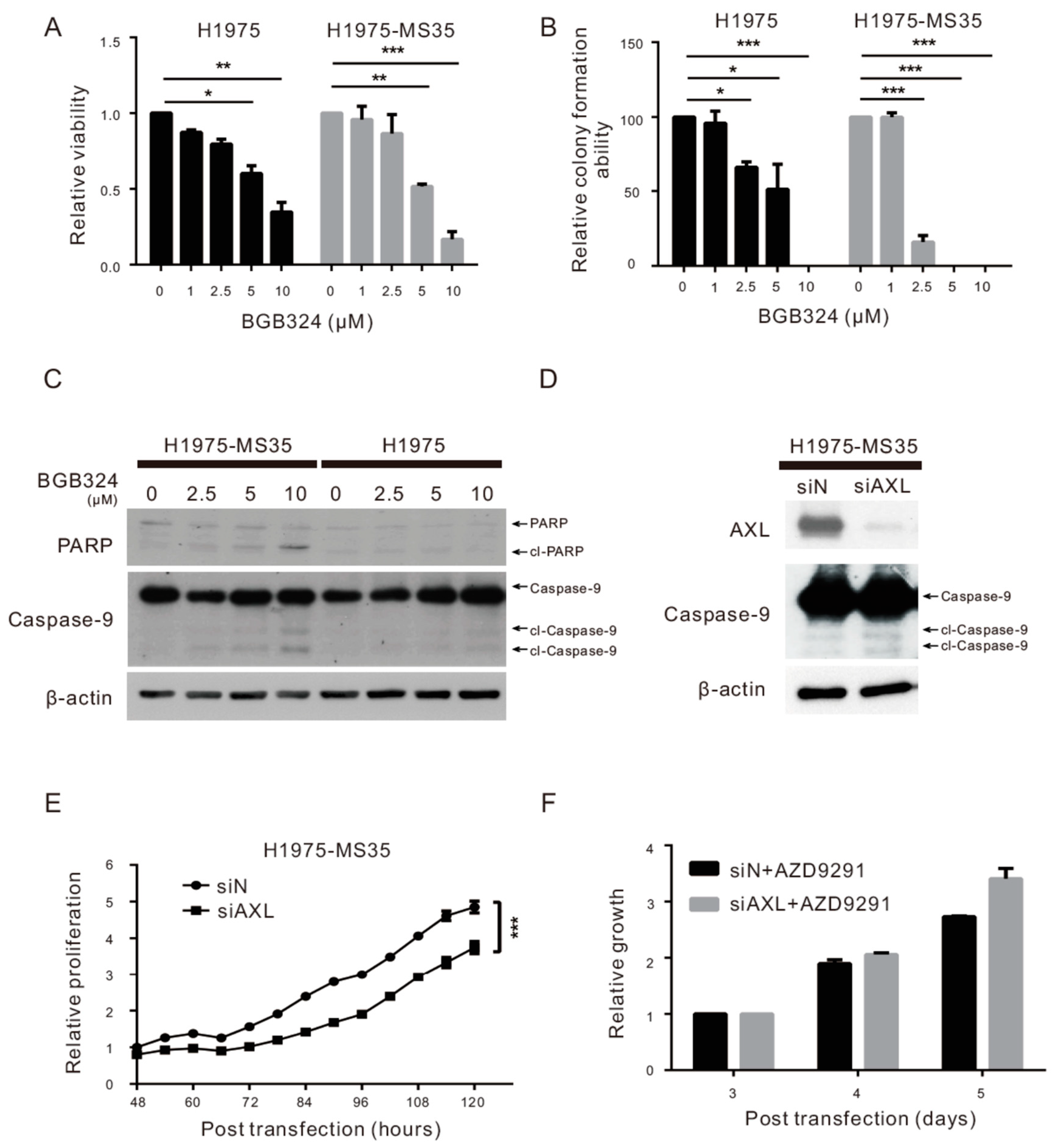 Cancers 13 00111 g003