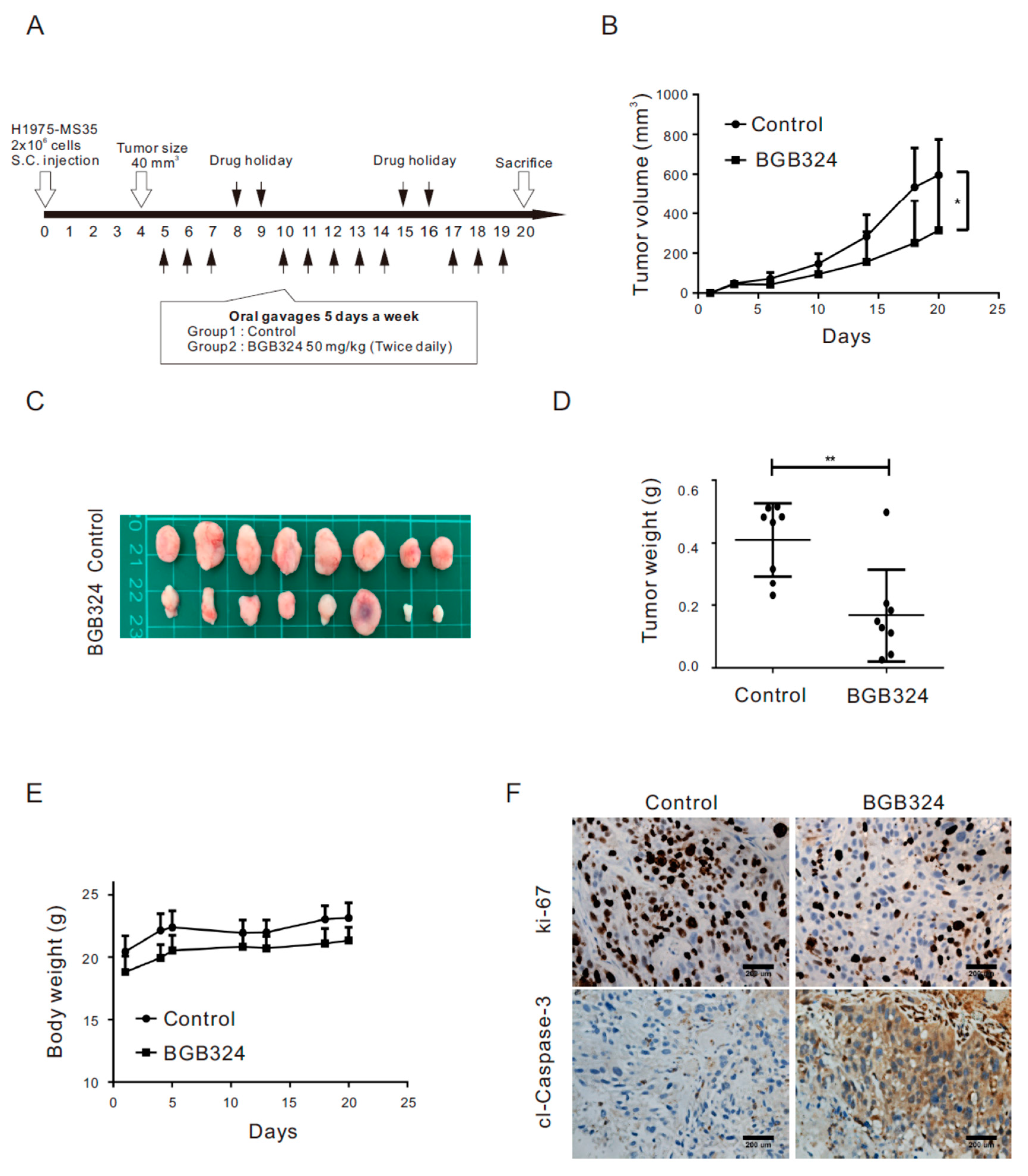 Cancers 13 00111 g004