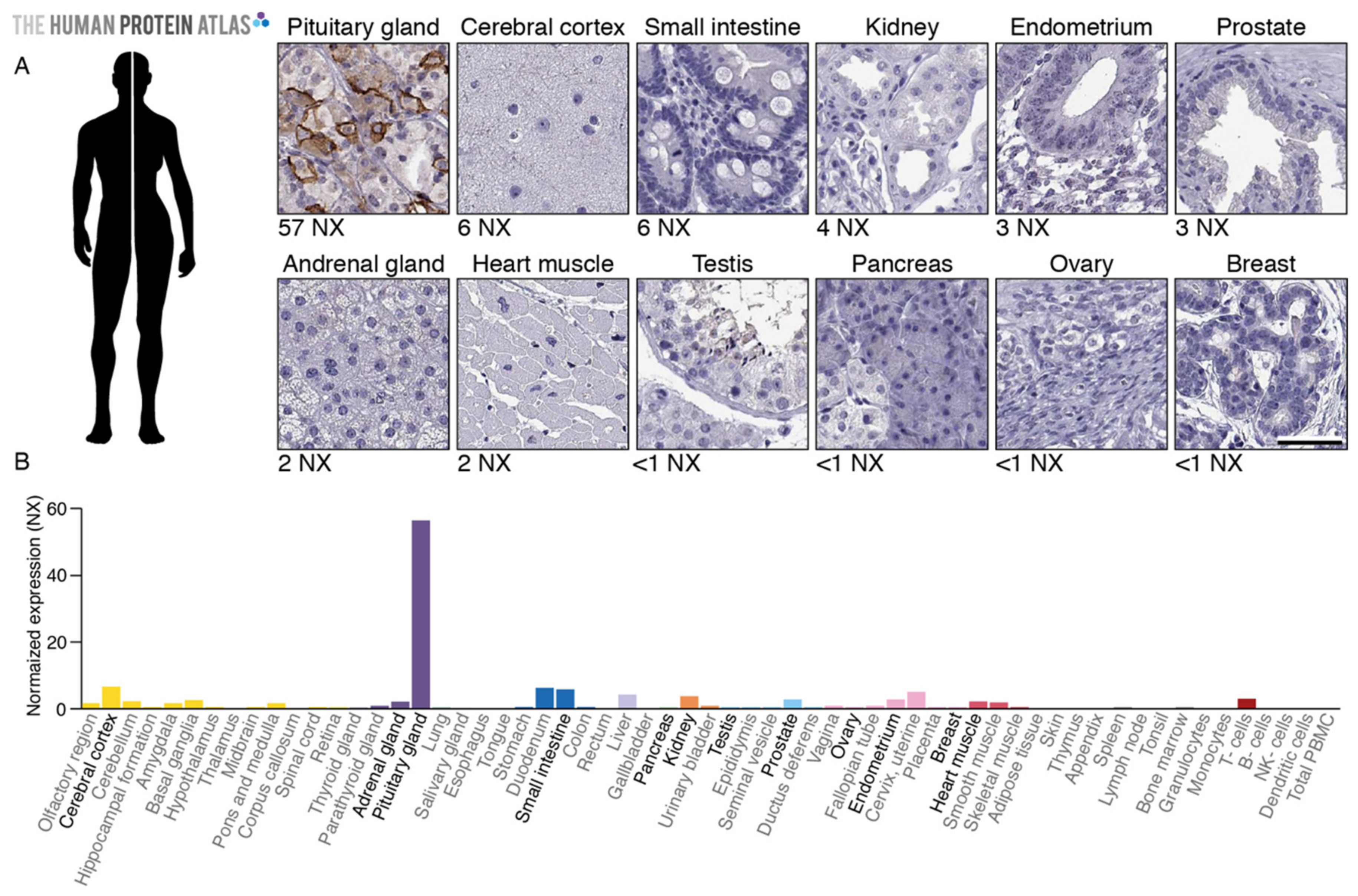 Cancers 13 00114 g001