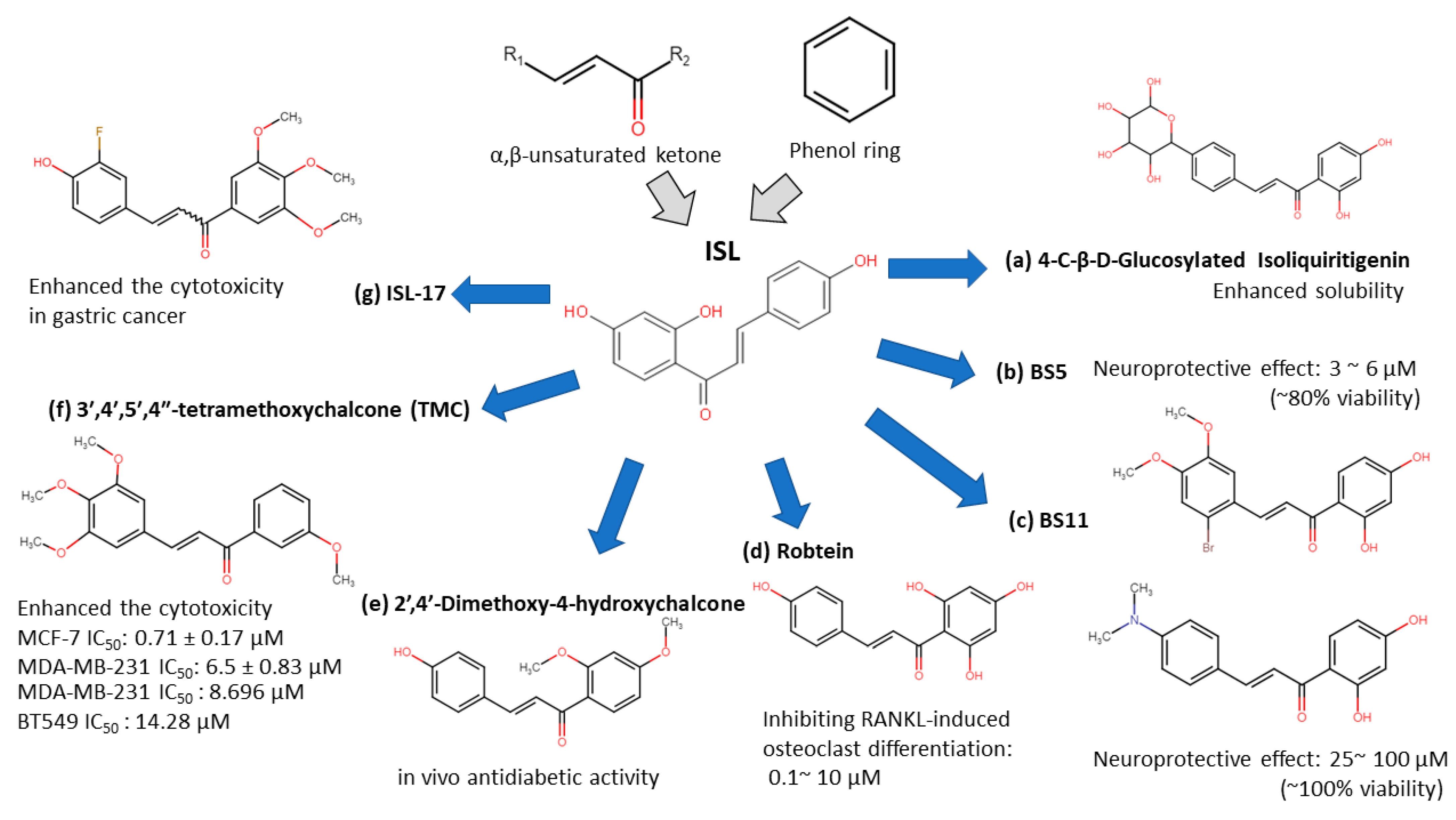 Cancers 13 00115 g002
