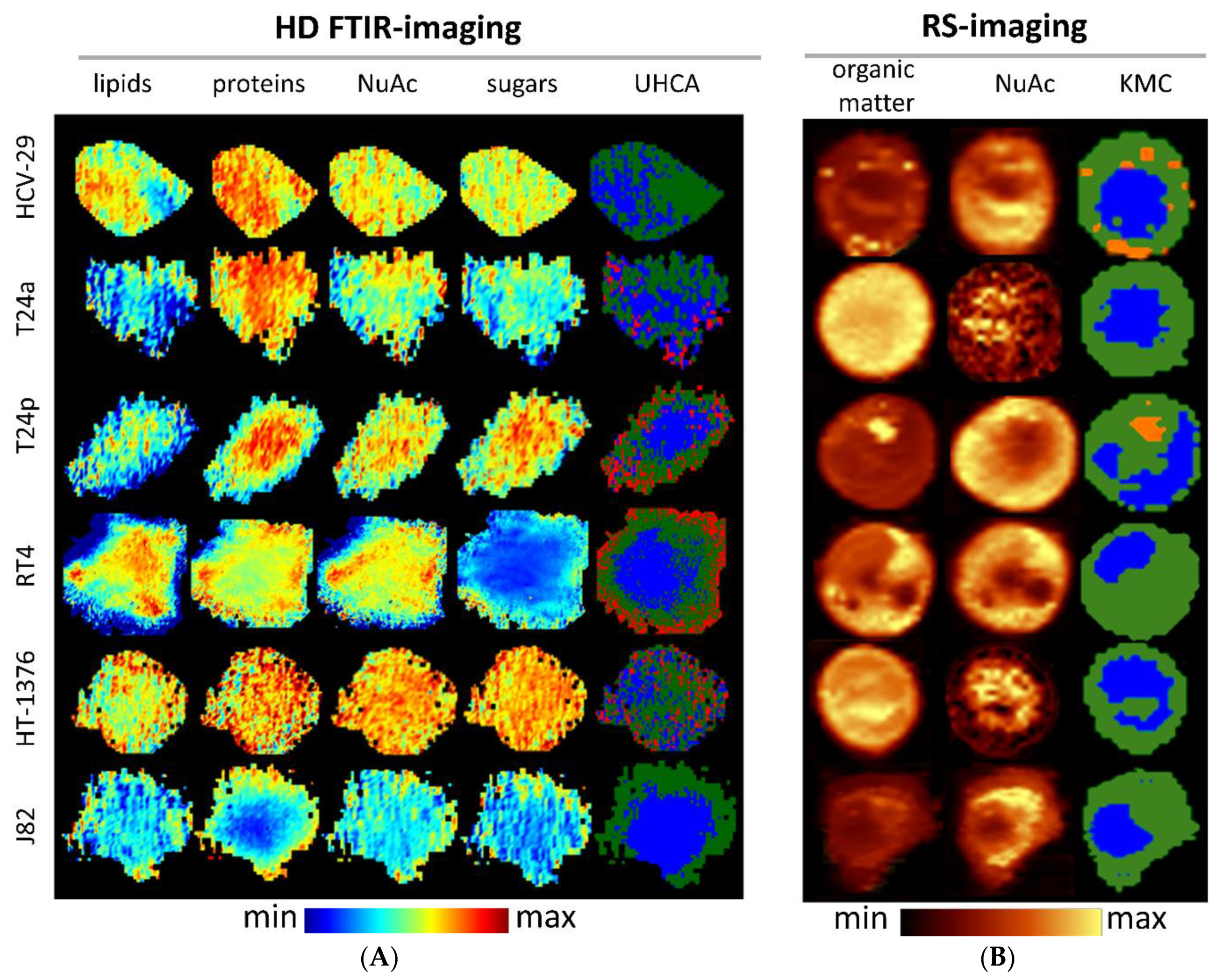 Cancers 13 00123 g002