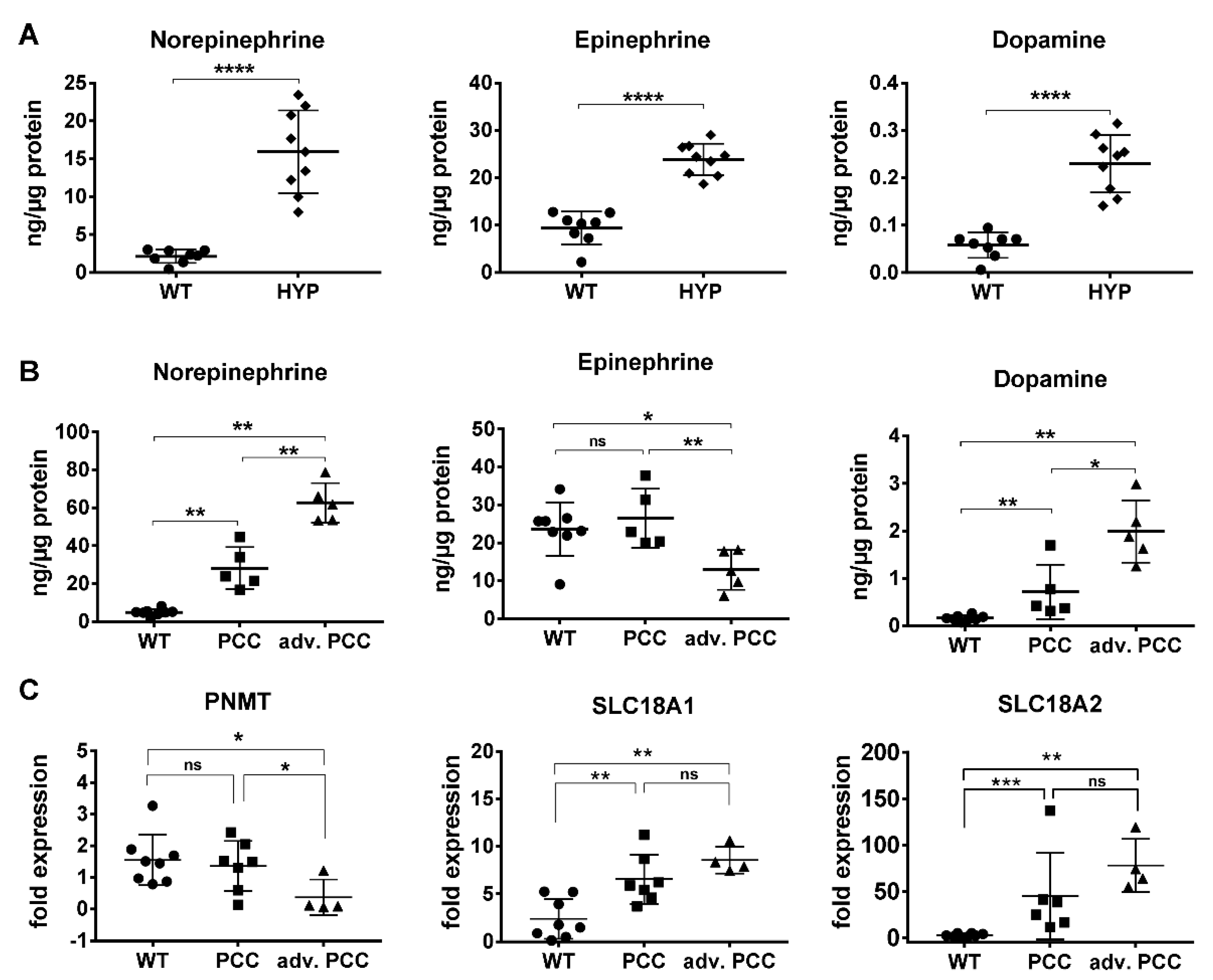 Cancers 13 00126 g001