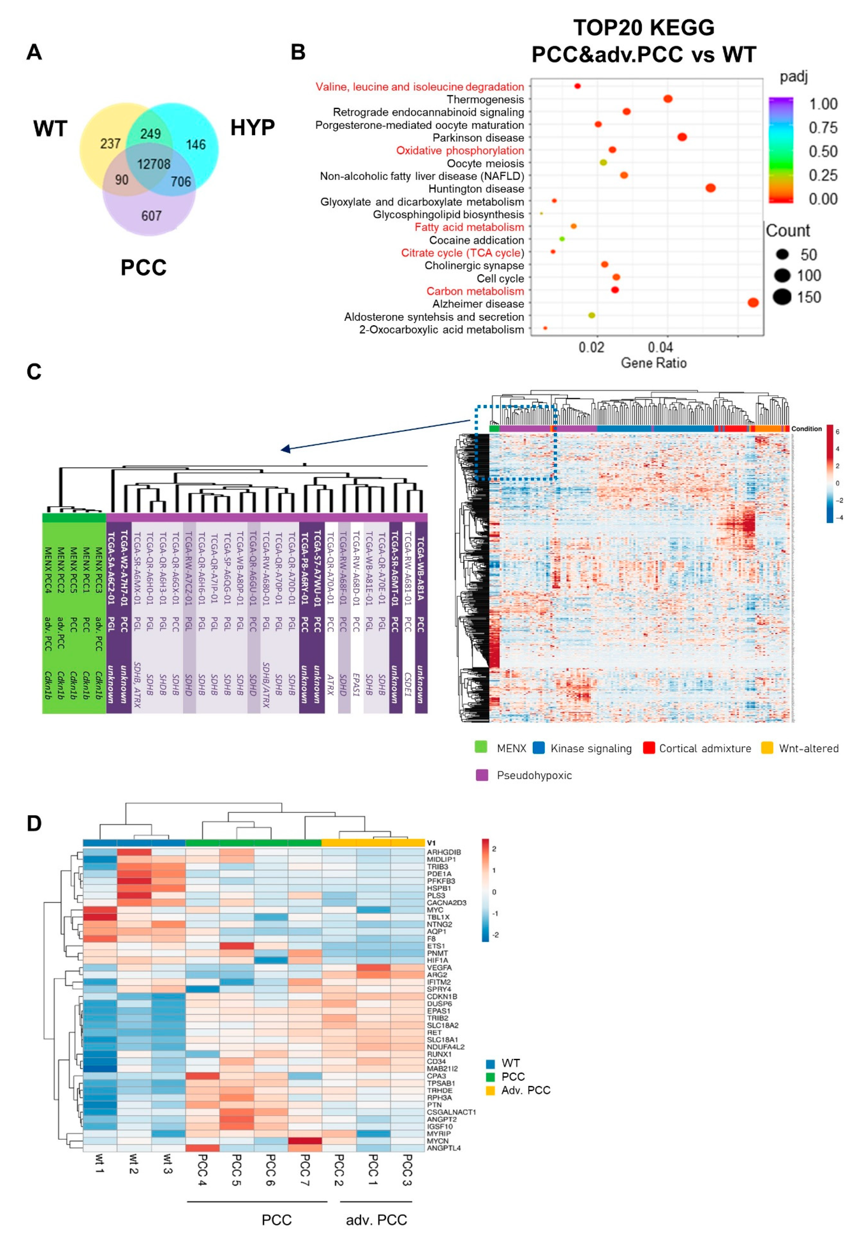 Cancers 13 00126 g002