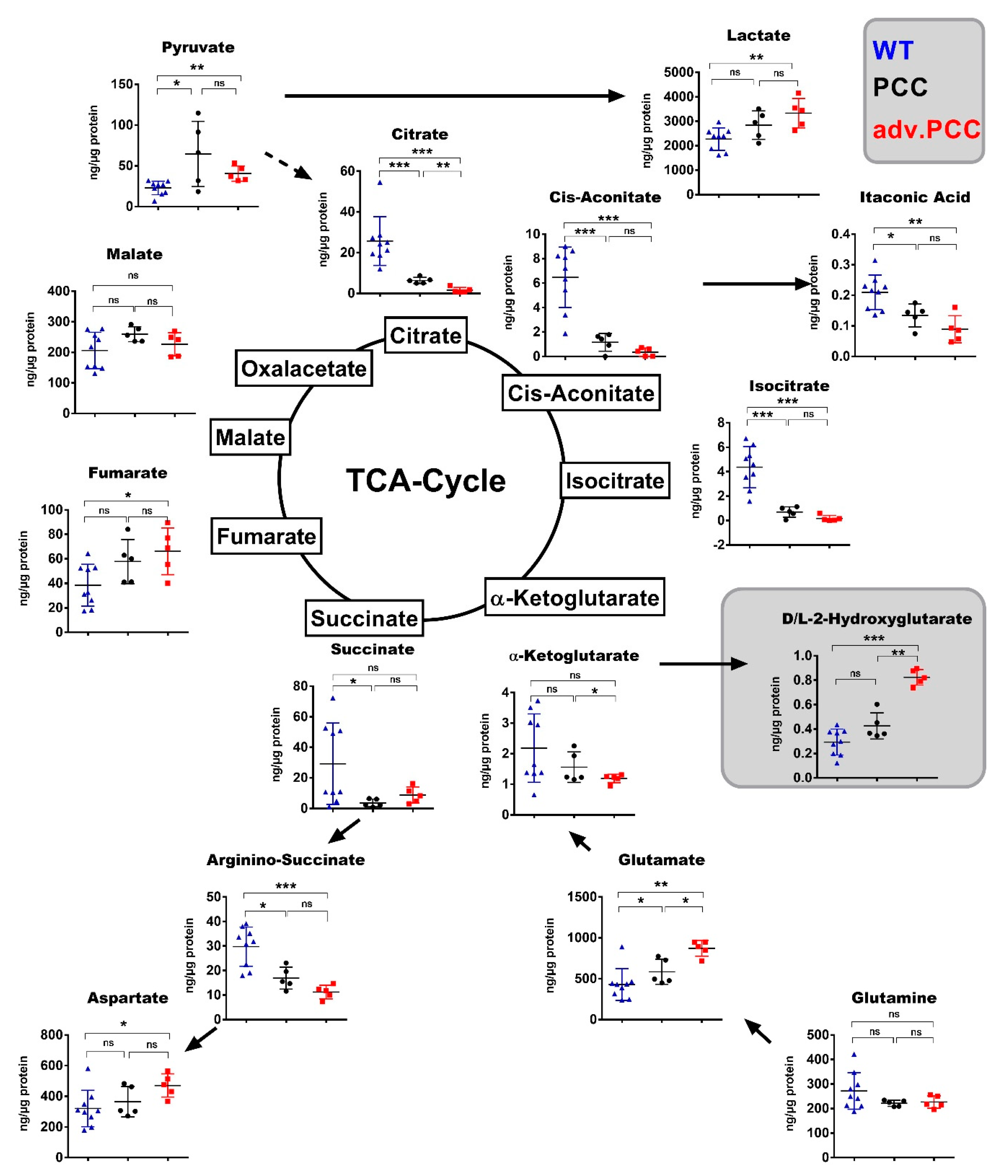 Cancers 13 00126 g003