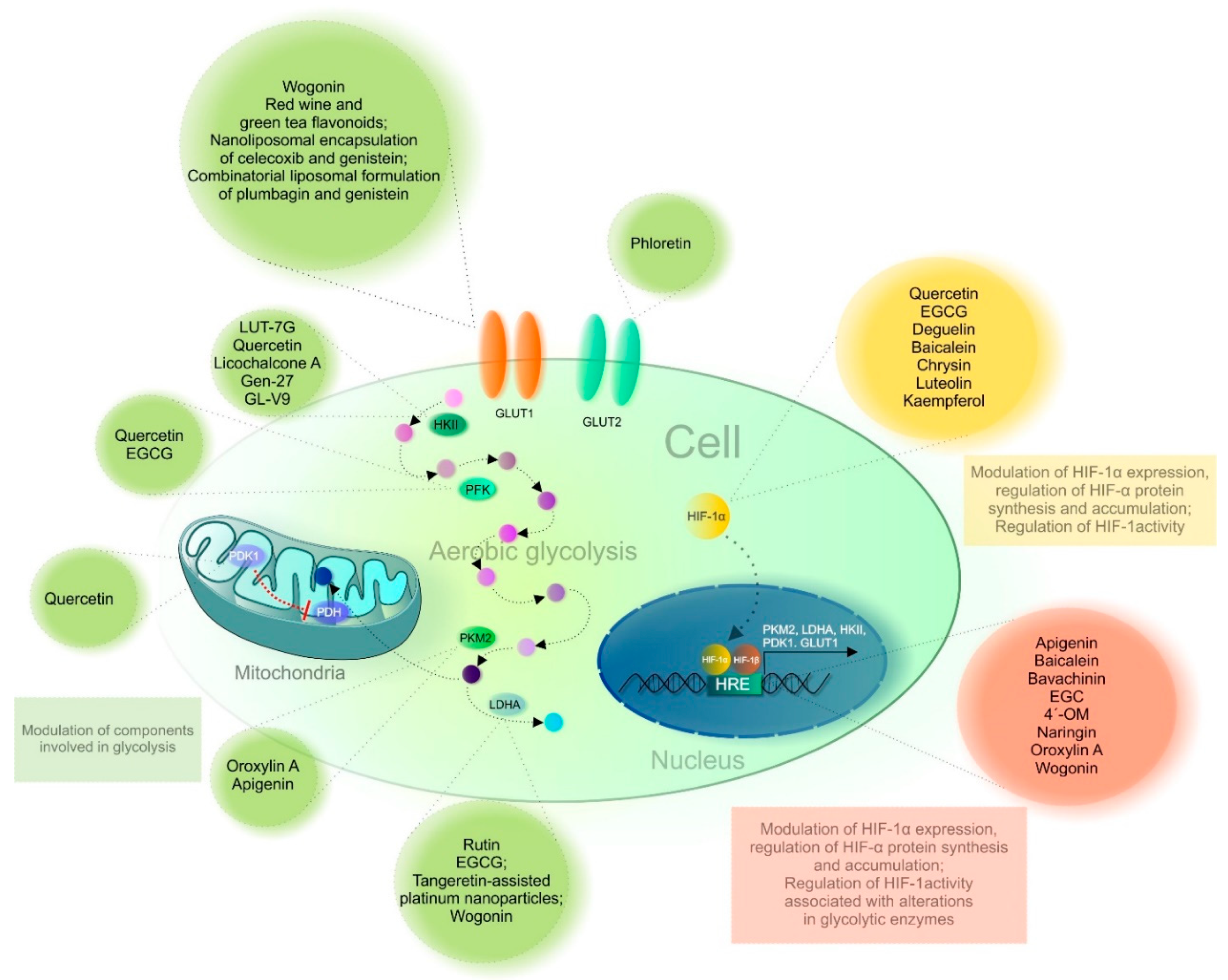 Cancers 13 00130 g004