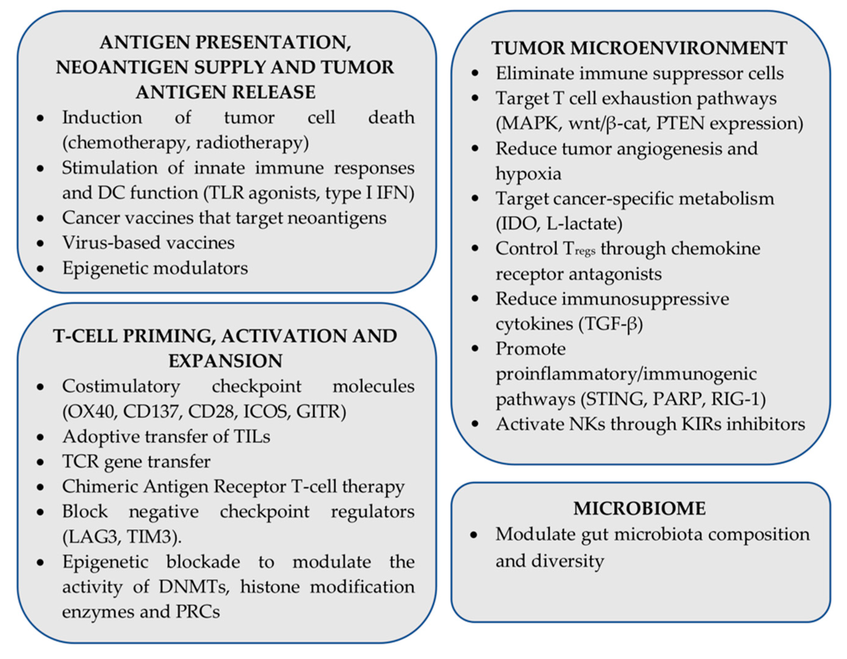 Cancers 13 00134 g003