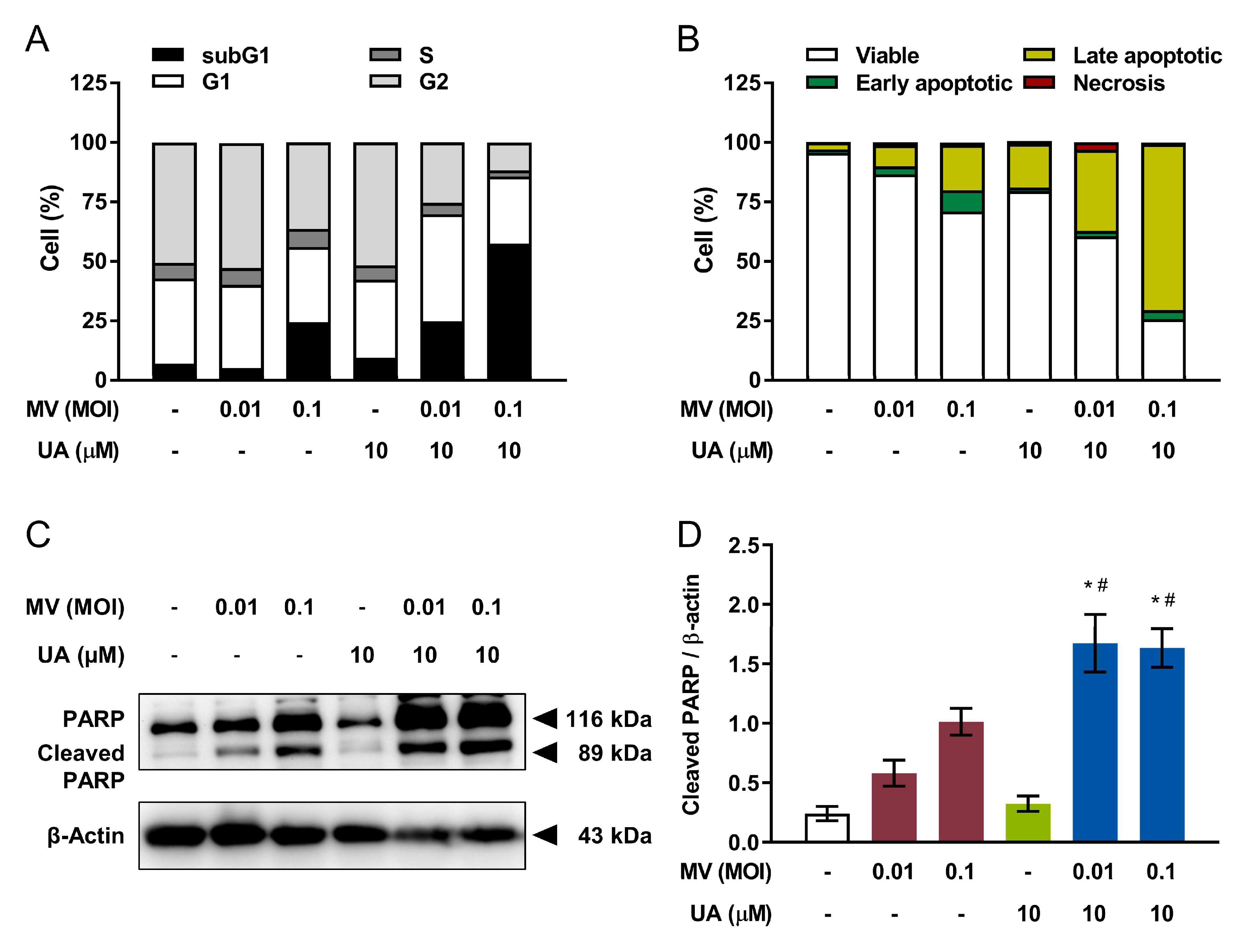 Cancers 13 00136 g003