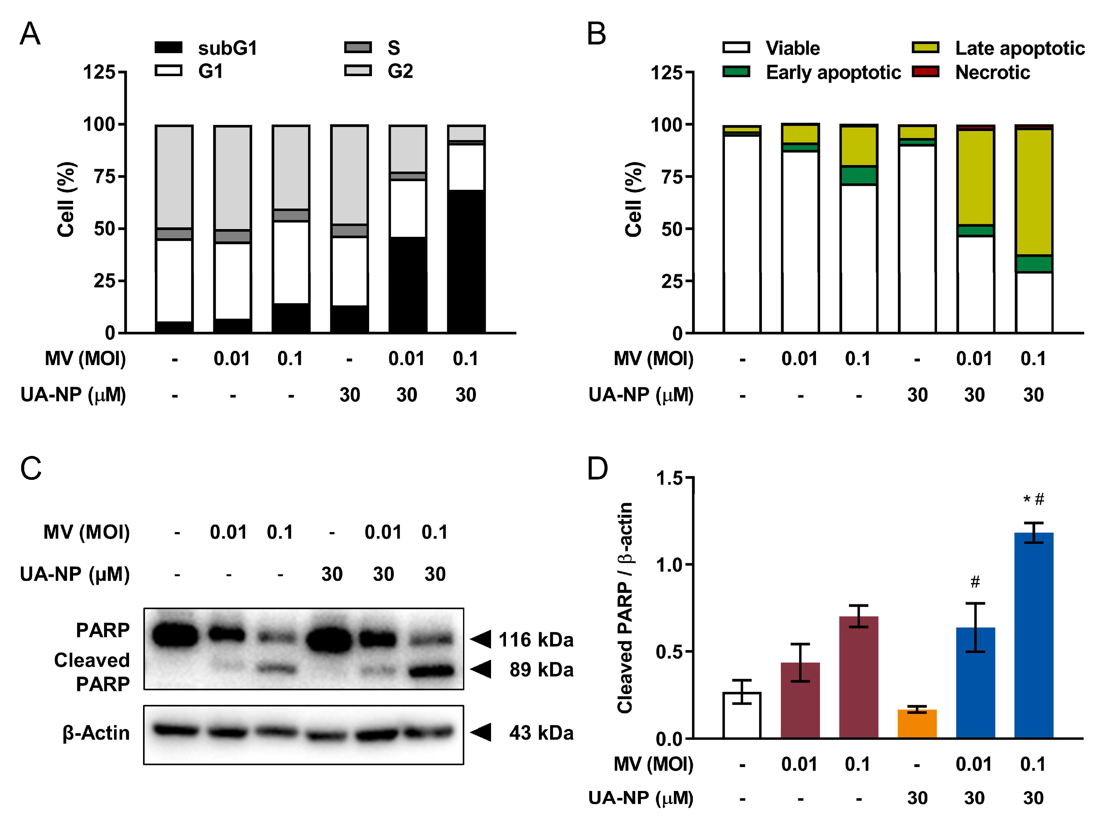 Cancers 13 00136 g006