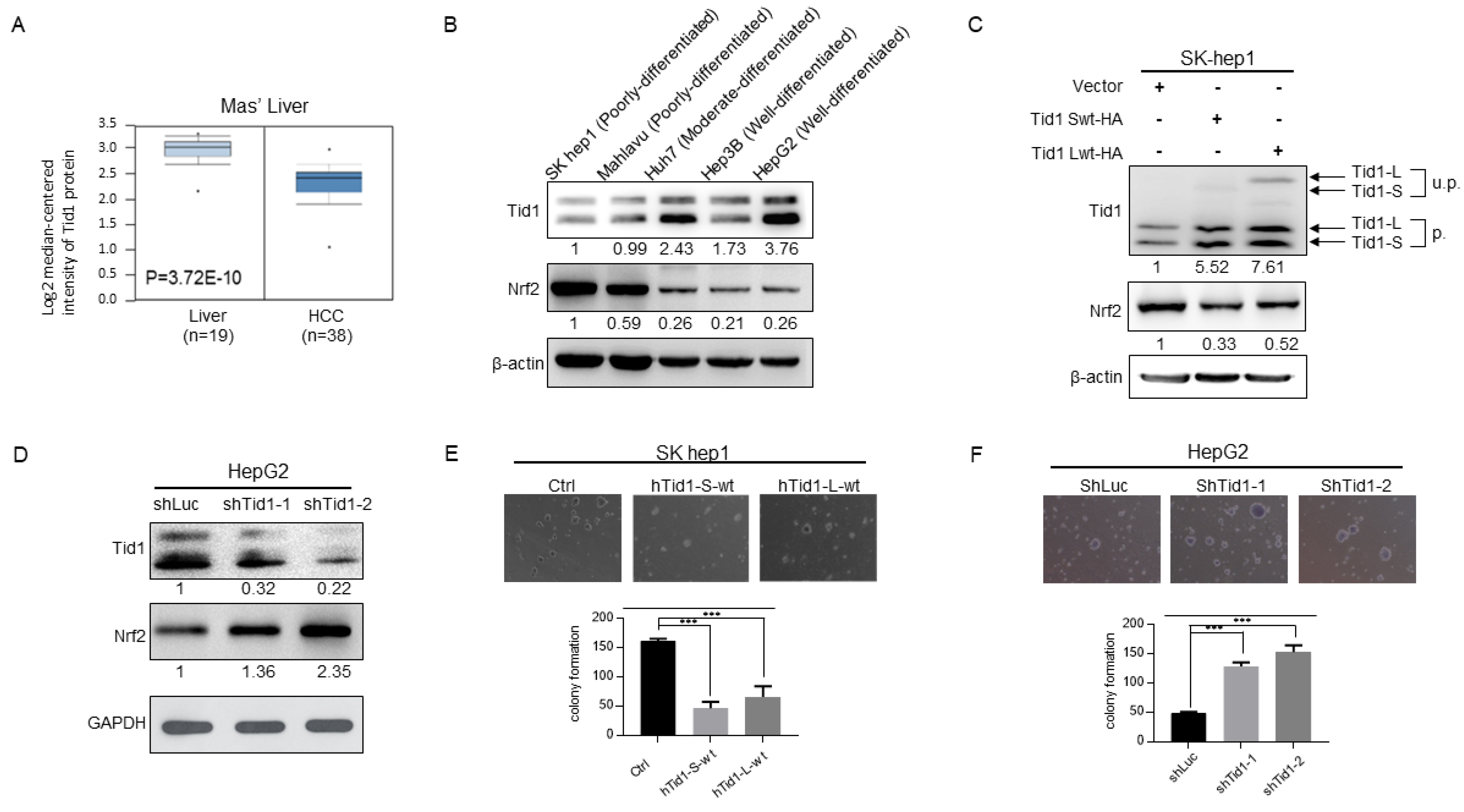 Cancers 13 00138 g001