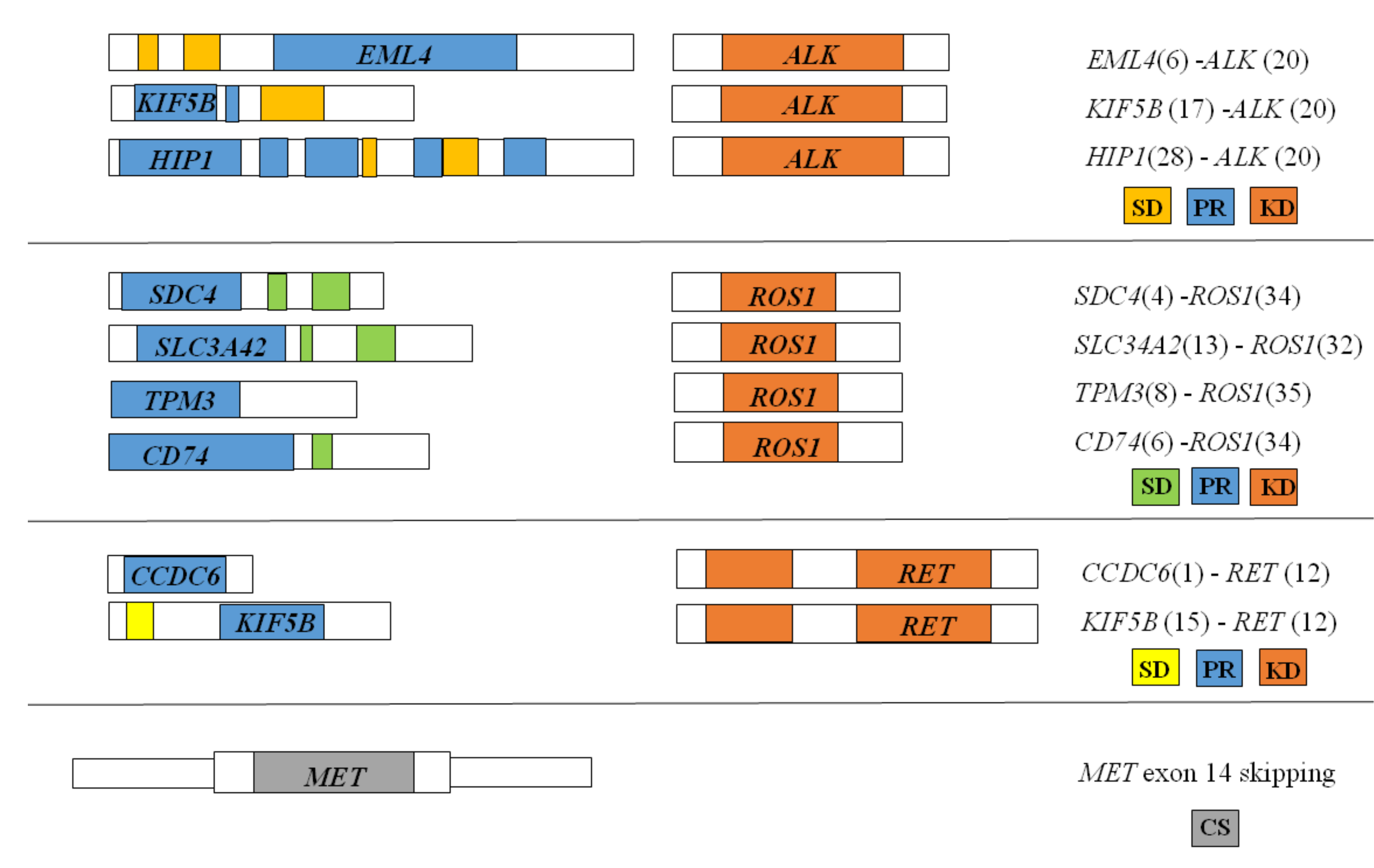 Cancers 13 00139 g001