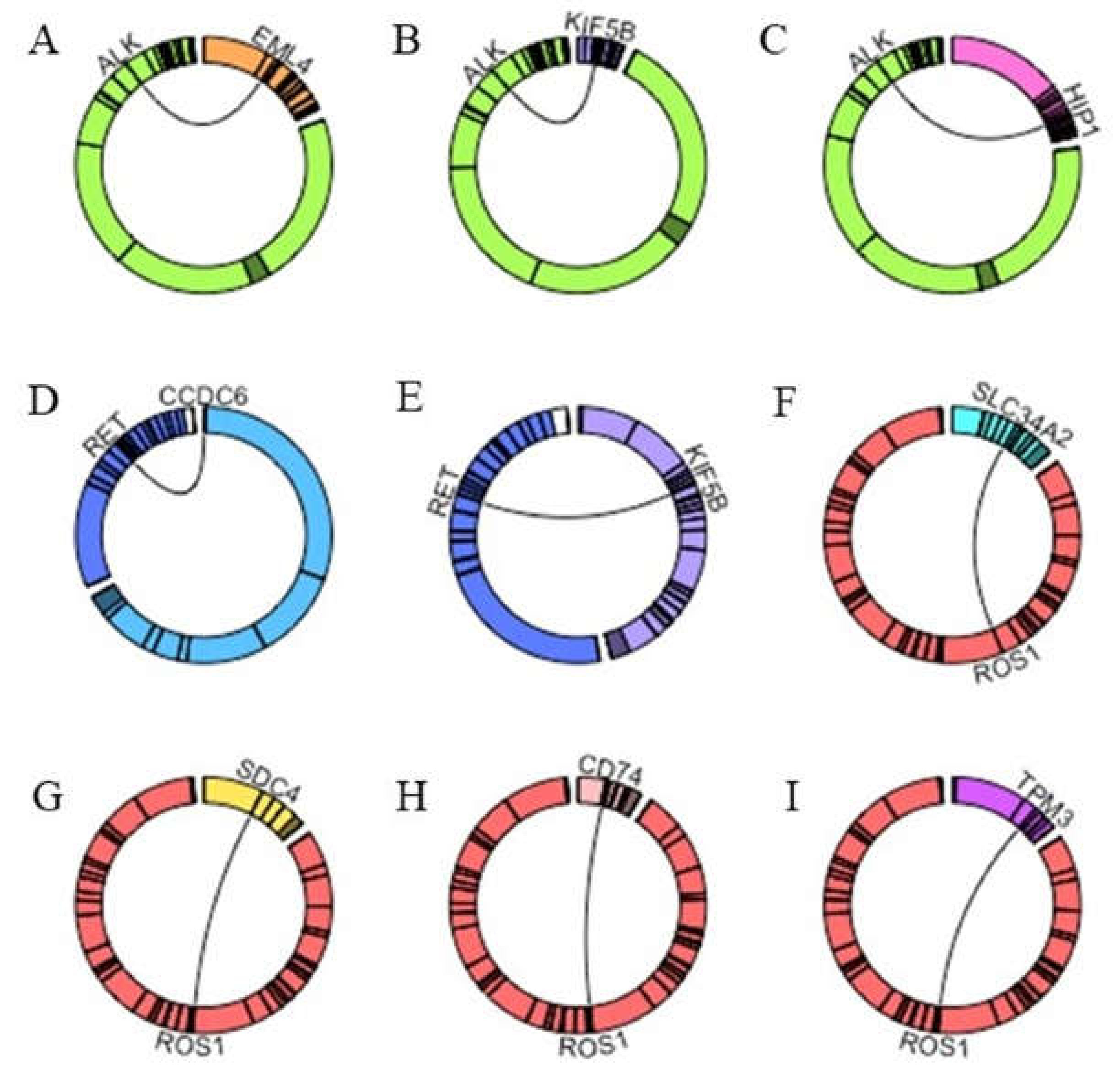 Cancers 13 00139 g002