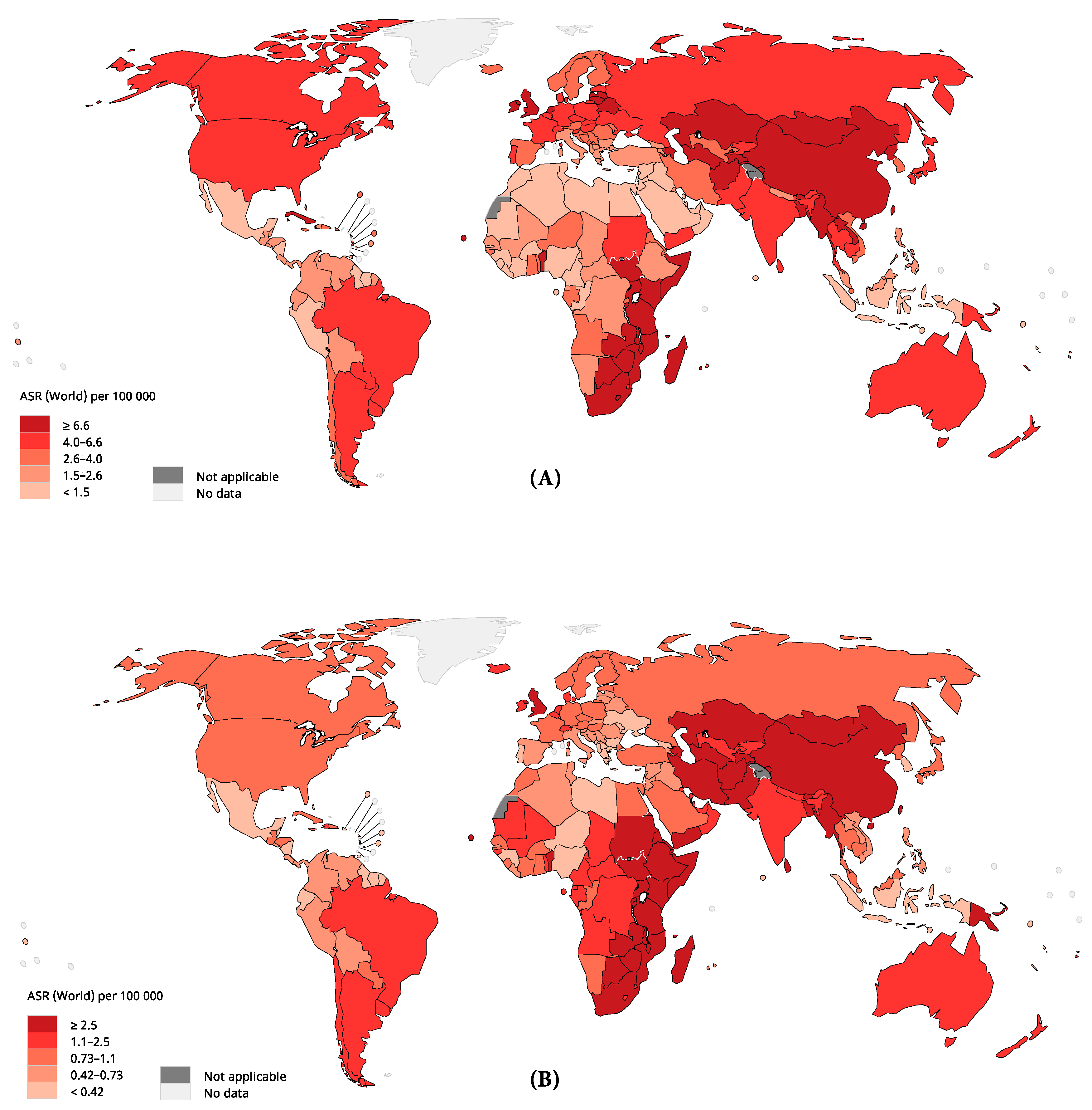 Cancers 13 00141 g002