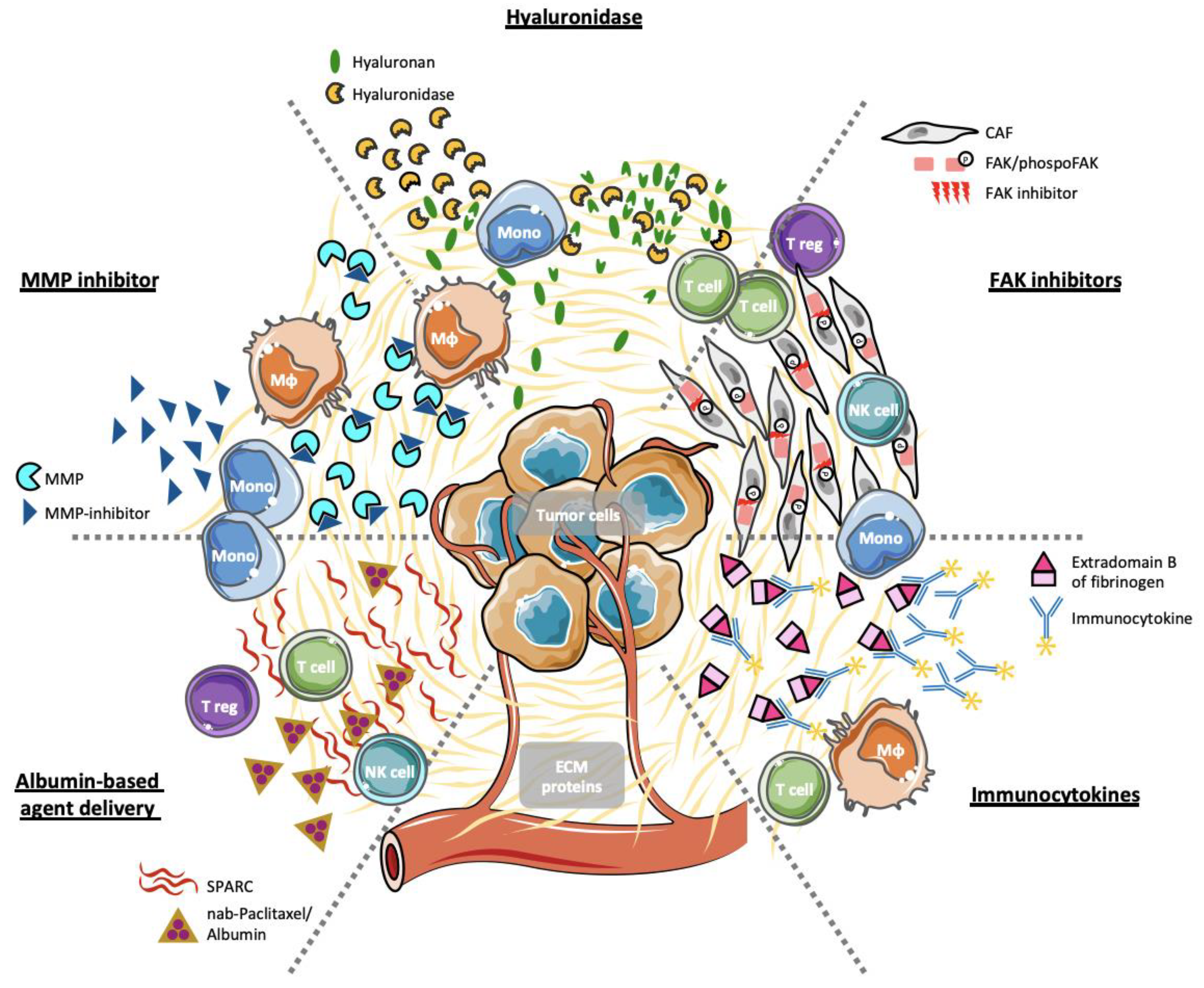 Cancers 13 00146 g001