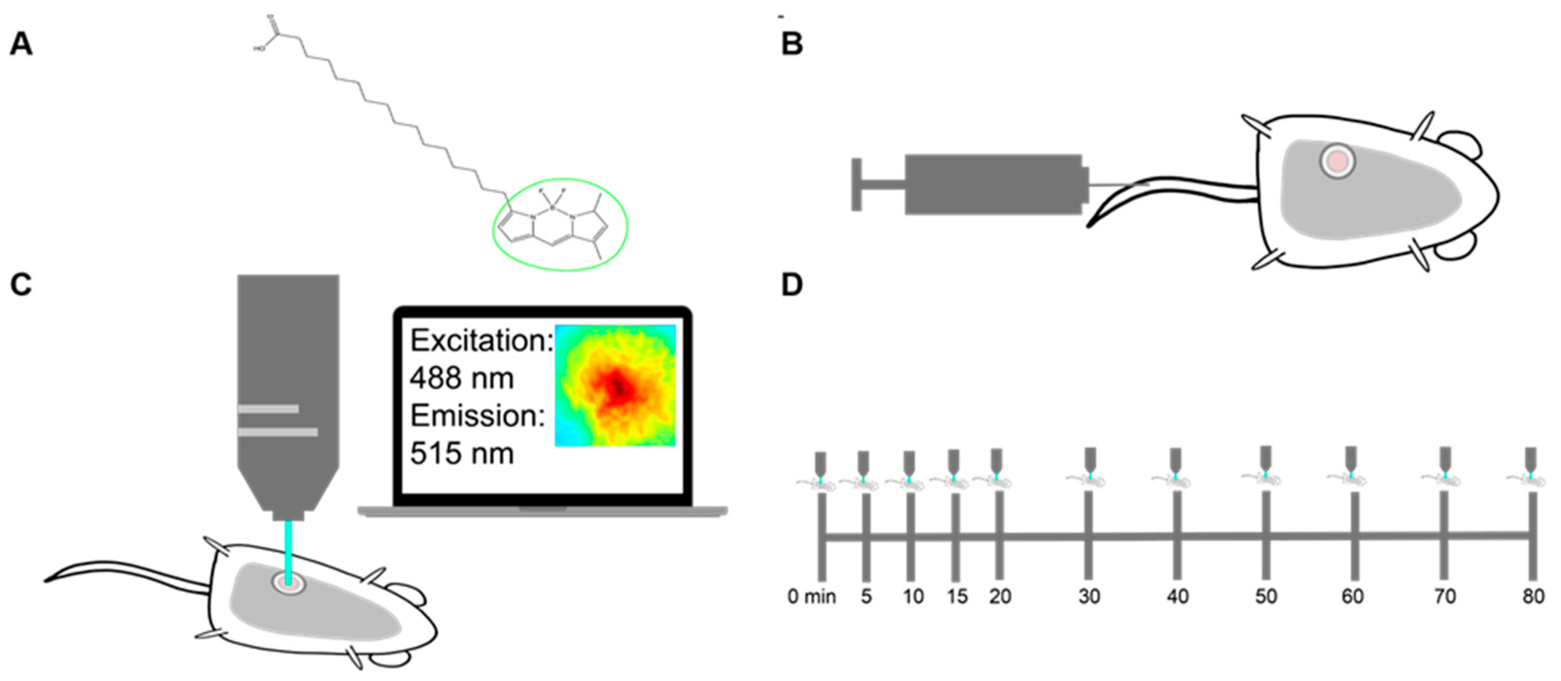 Cancers 13 00148 g001