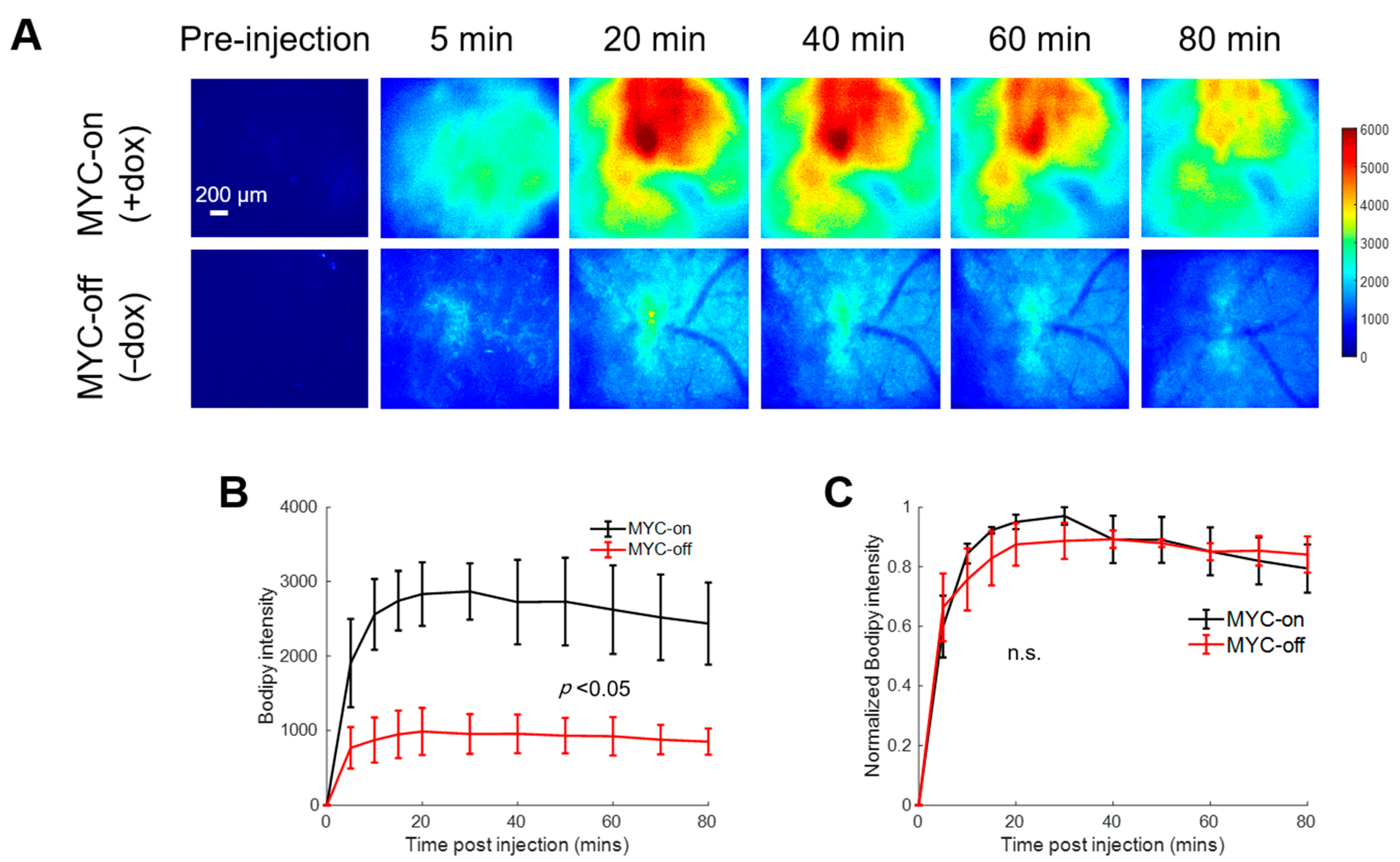 Cancers 13 00148 g002