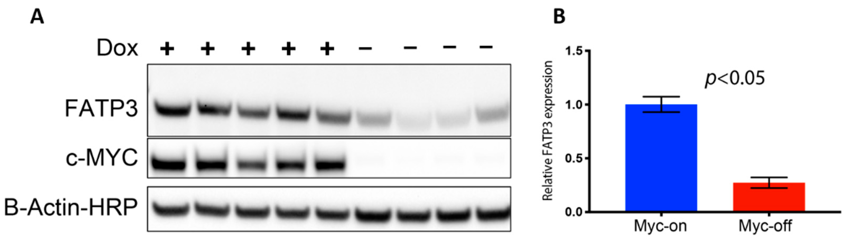 Cancers 13 00148 g003