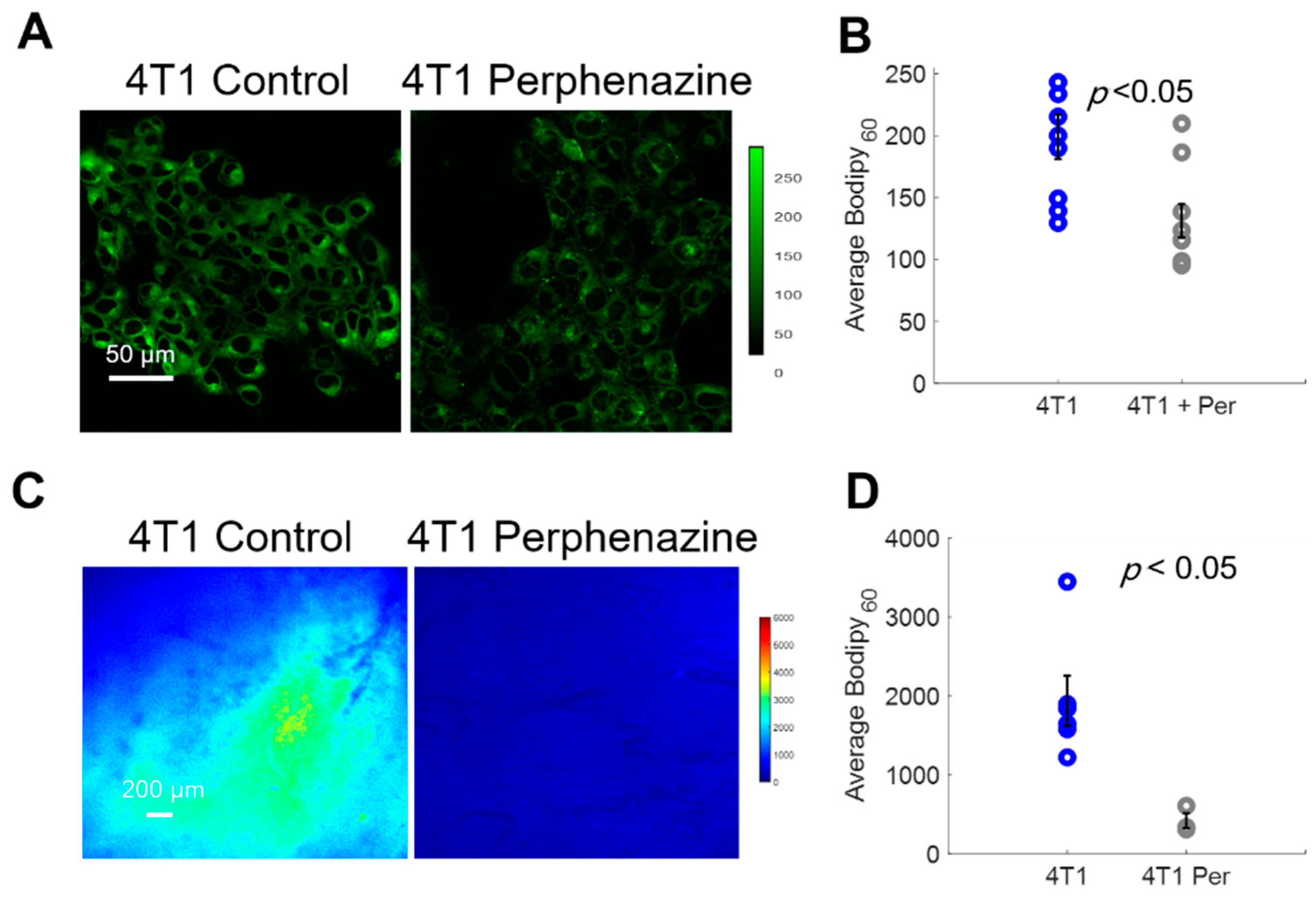Cancers 13 00148 g005