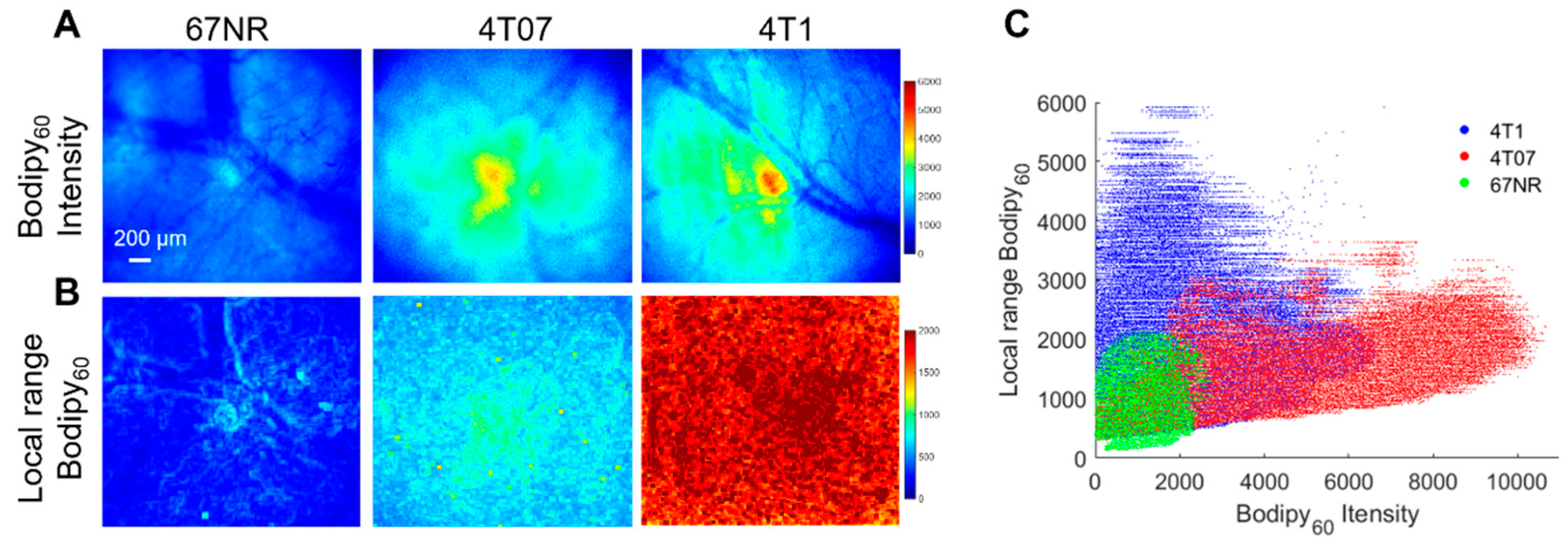 Cancers 13 00148 g006