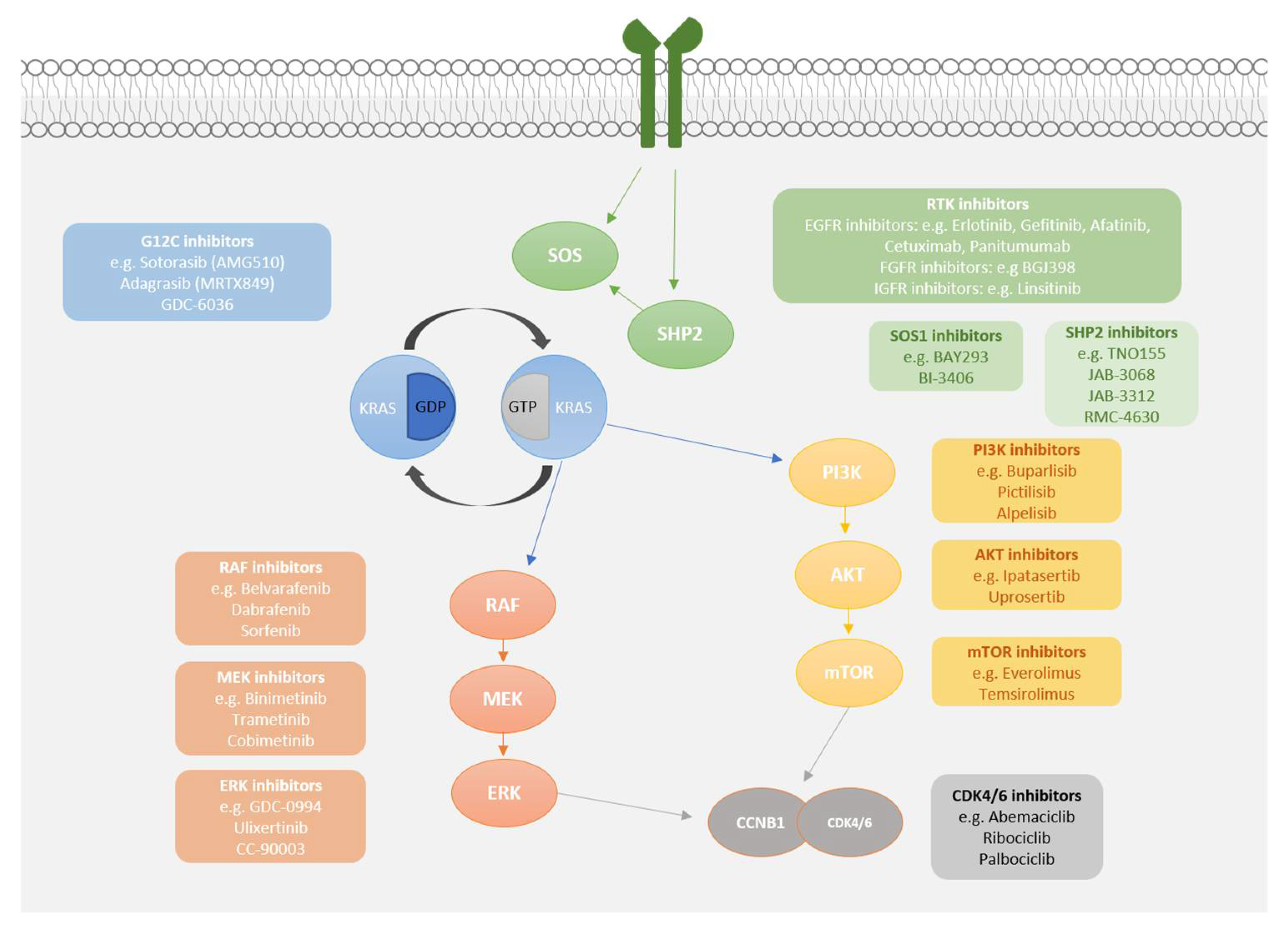 Cancers 13 00151 g001