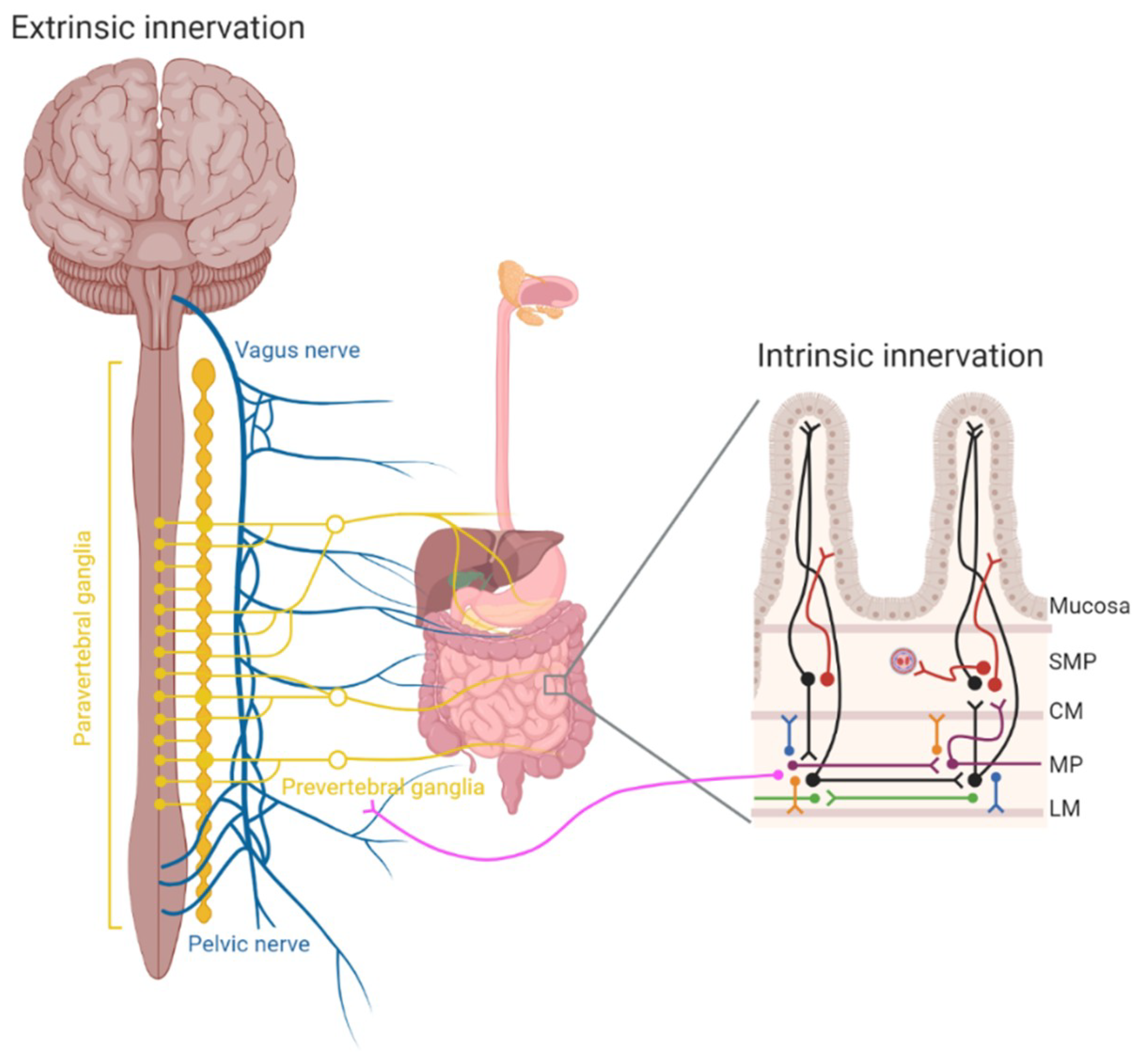 Cancers 13 00152 g001 Cancers 13 00152 g001