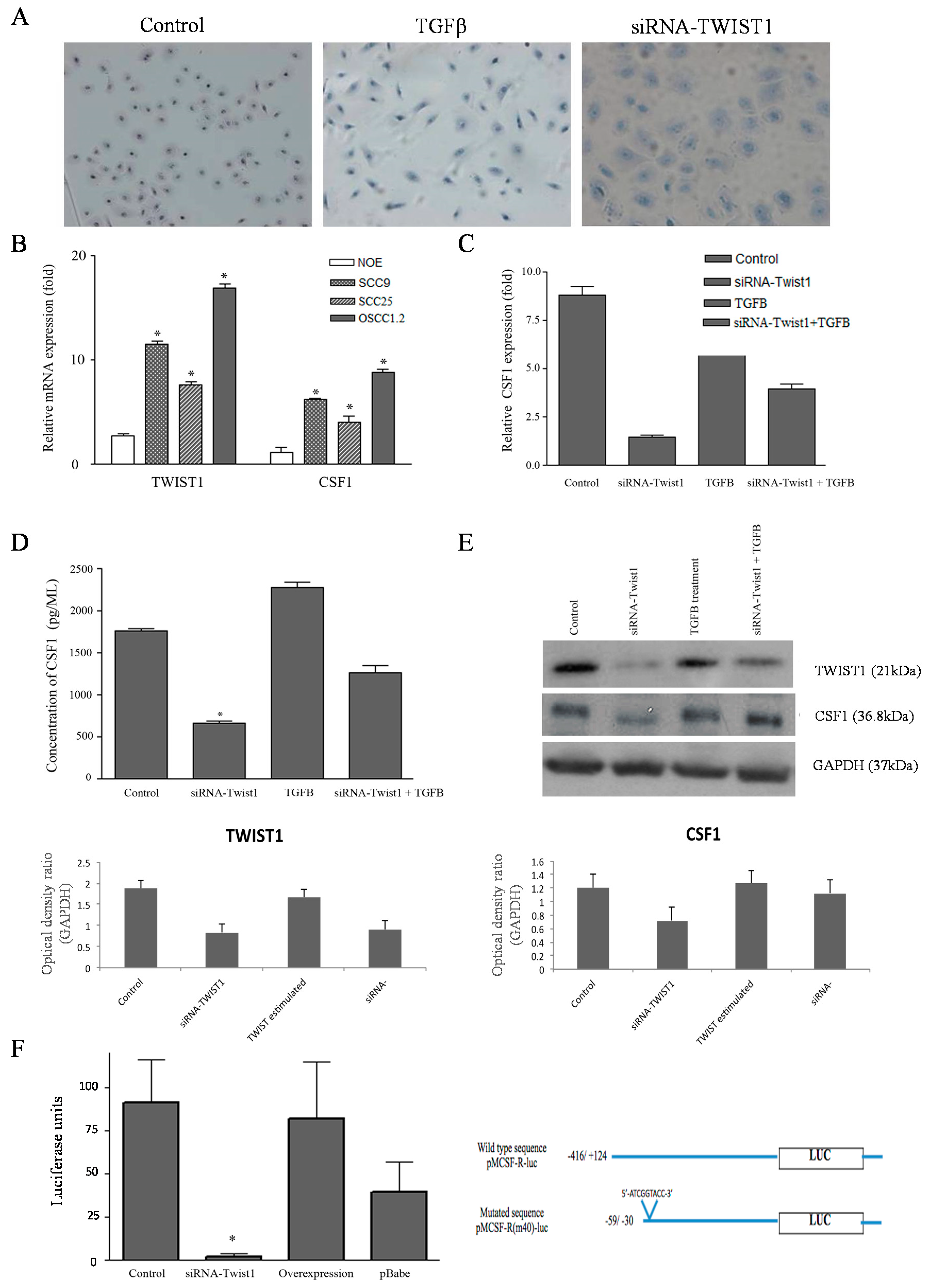 Cancers 13 00153 g003