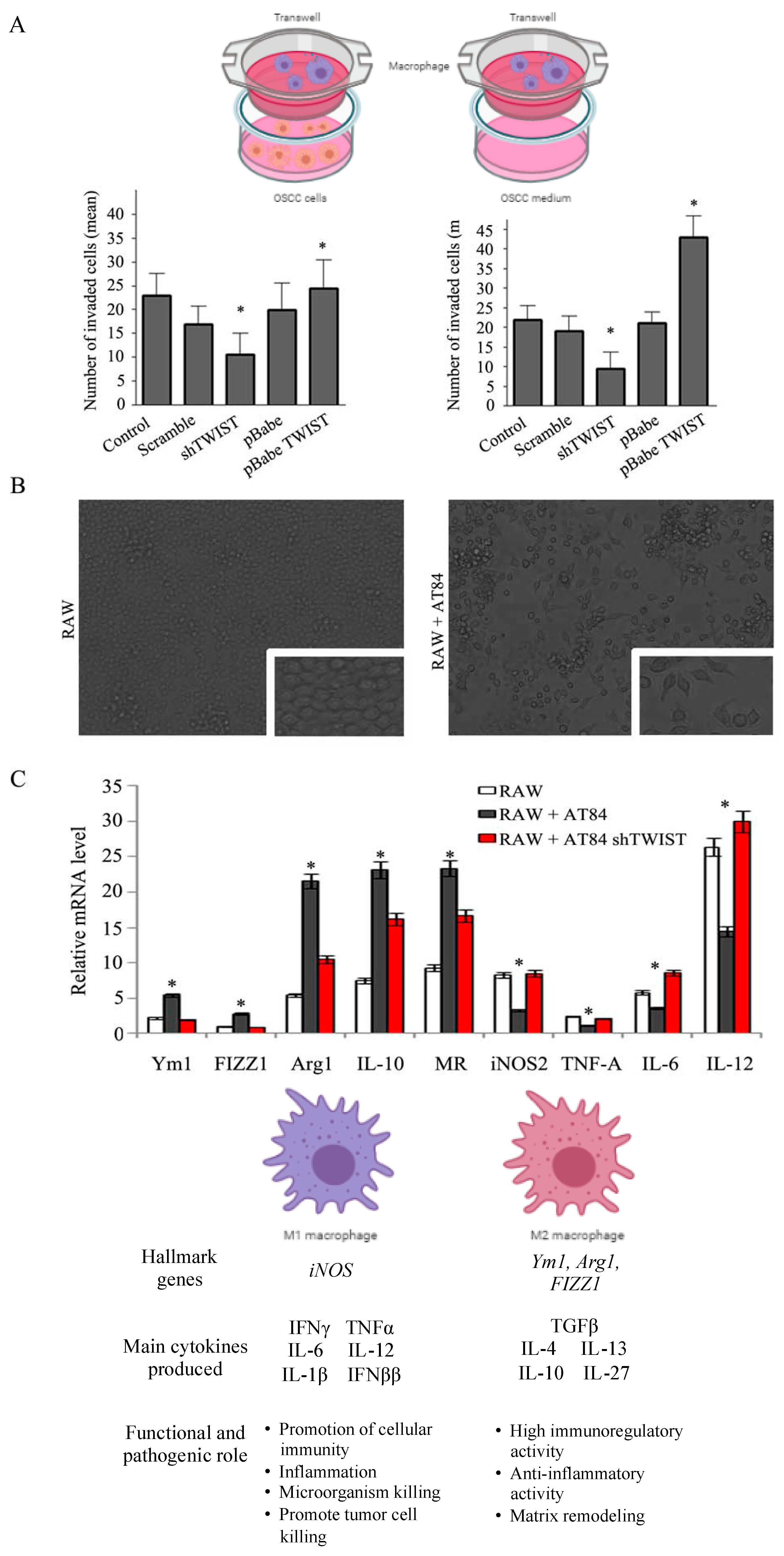 Cancers 13 00153 g004