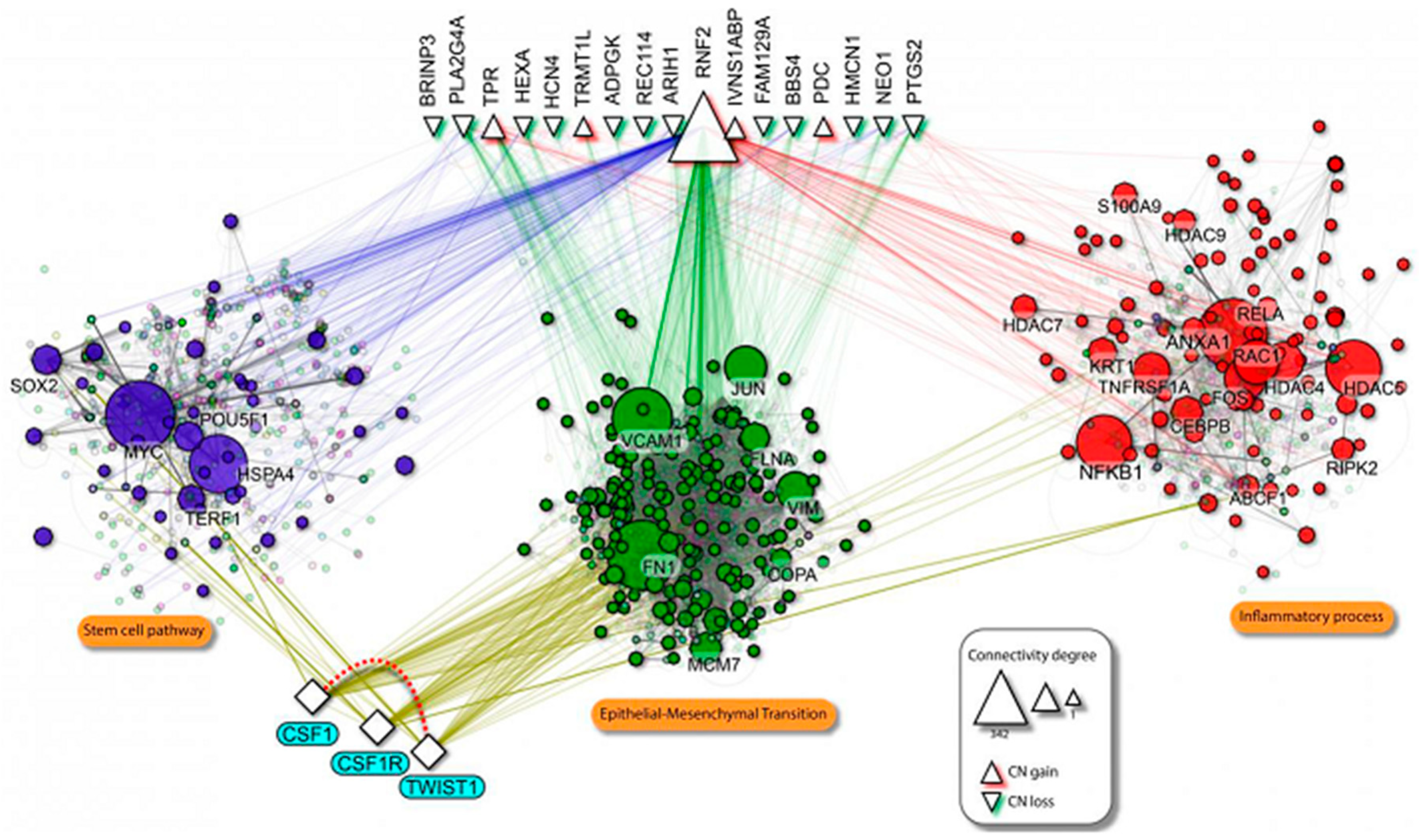 Cancers 13 00153 g007