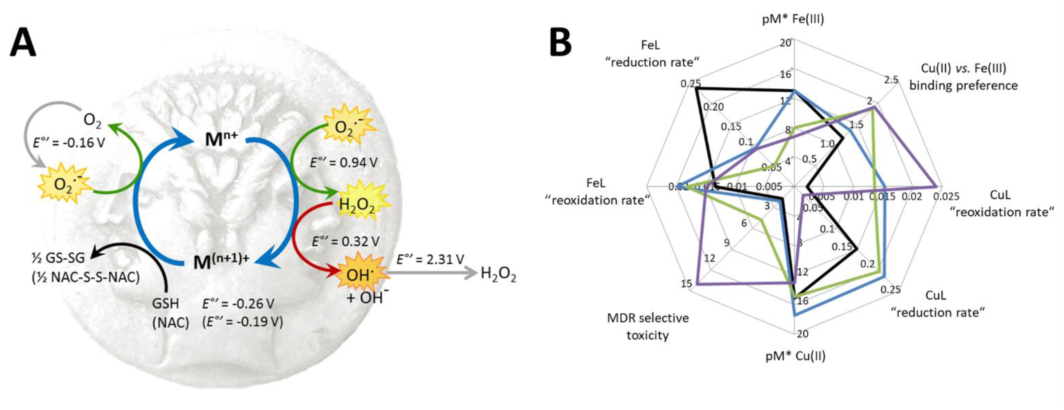Cancers 13 00154 g008