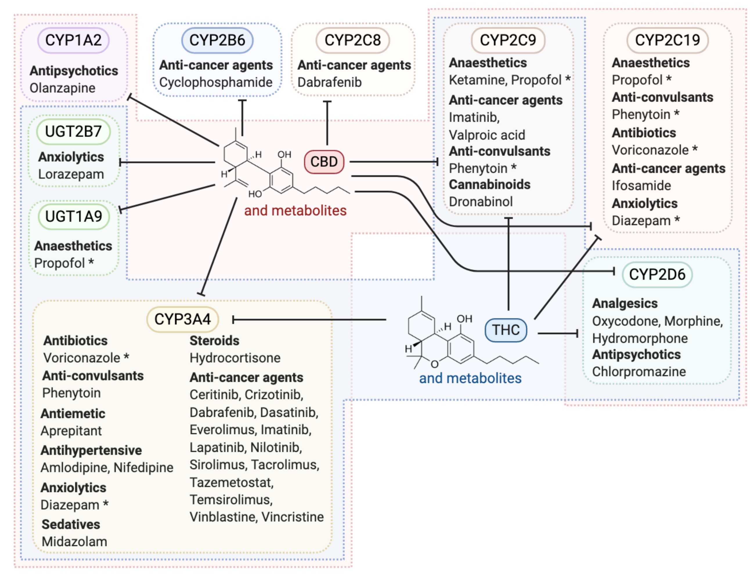 Cancers 13 00157 g003