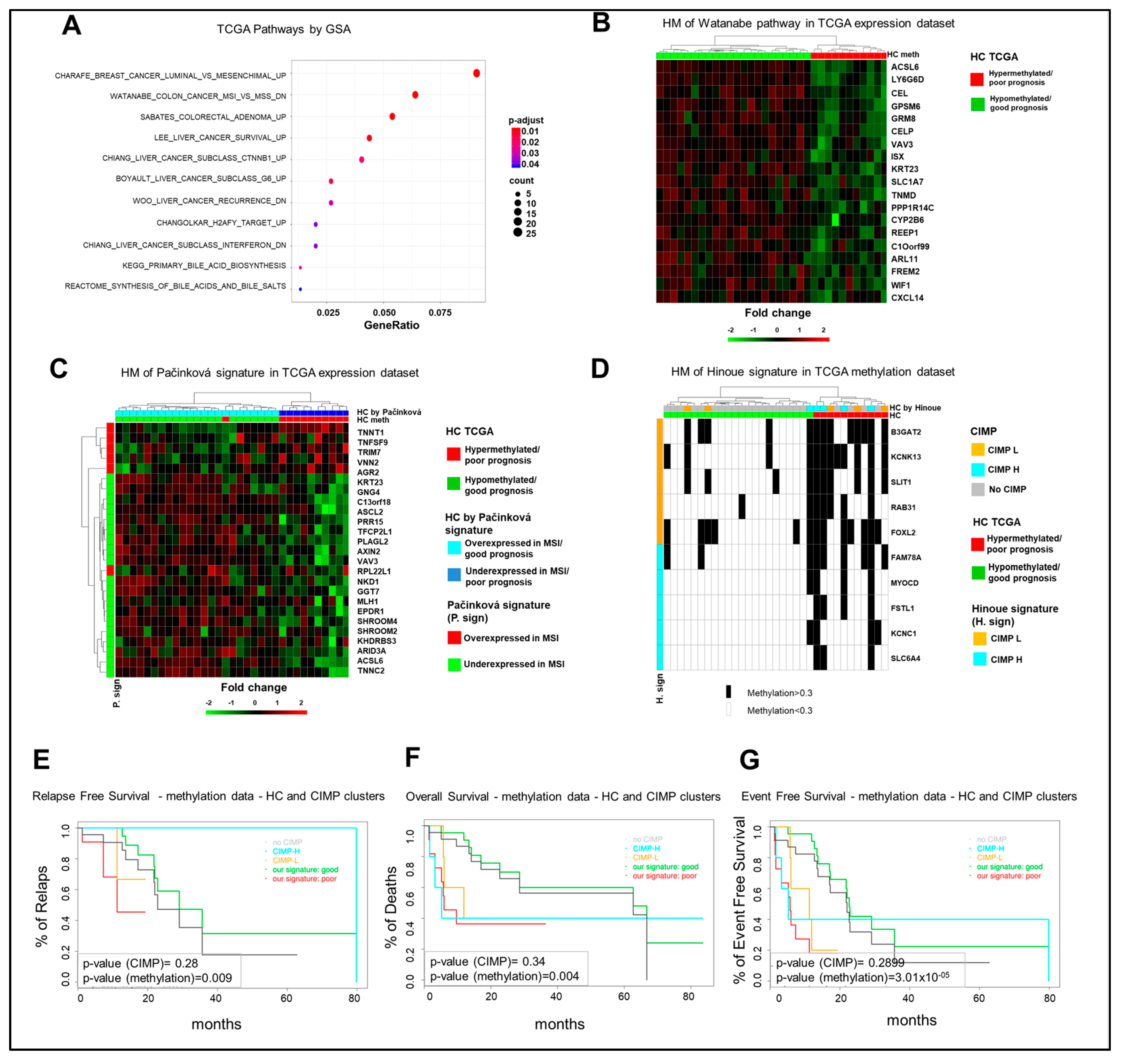 Cancers 13 00158 g004 Cancers 13 00158 g004
