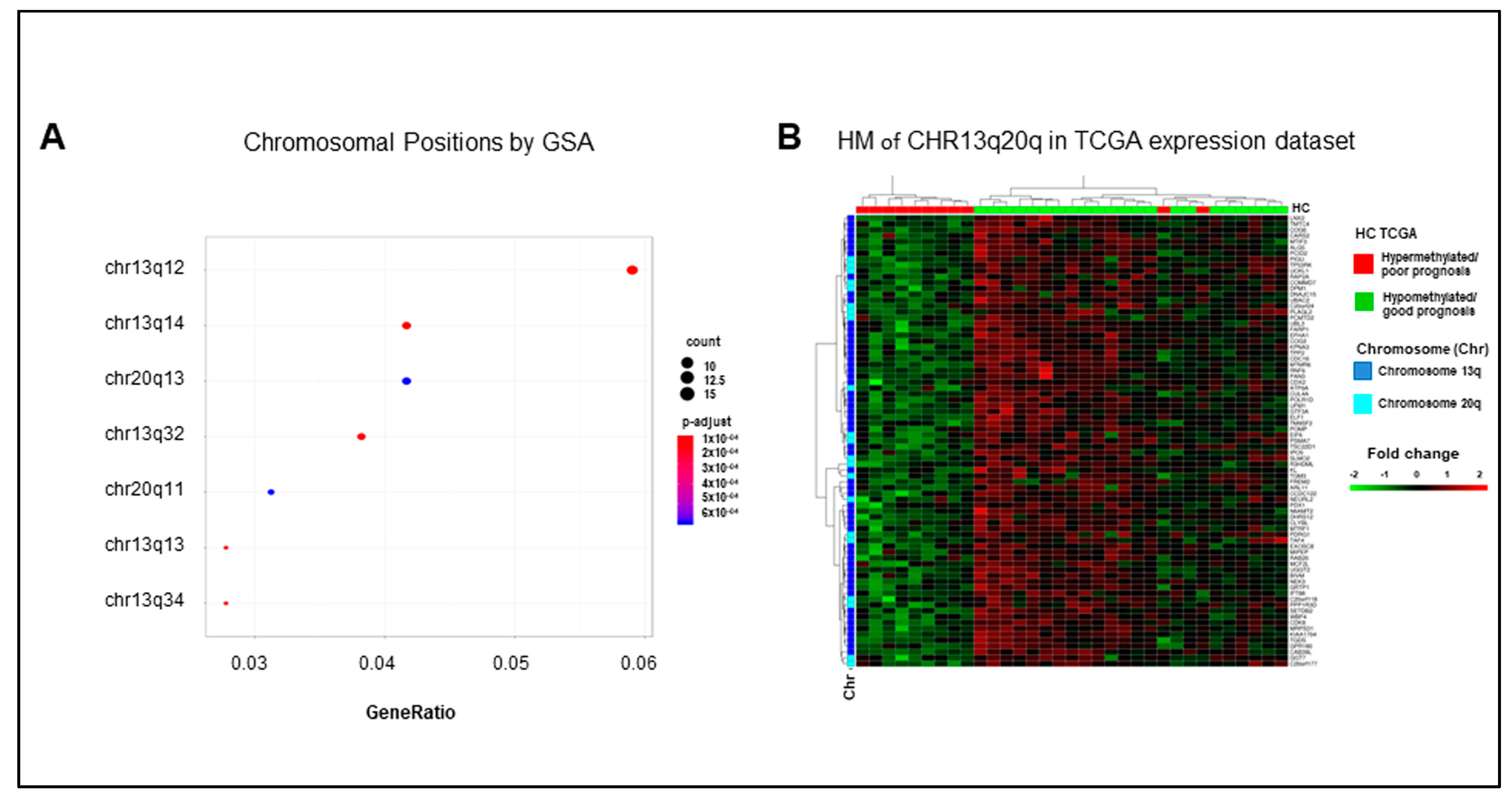 Cancers 13 00158 g005 Cancers 13 00158 g005
