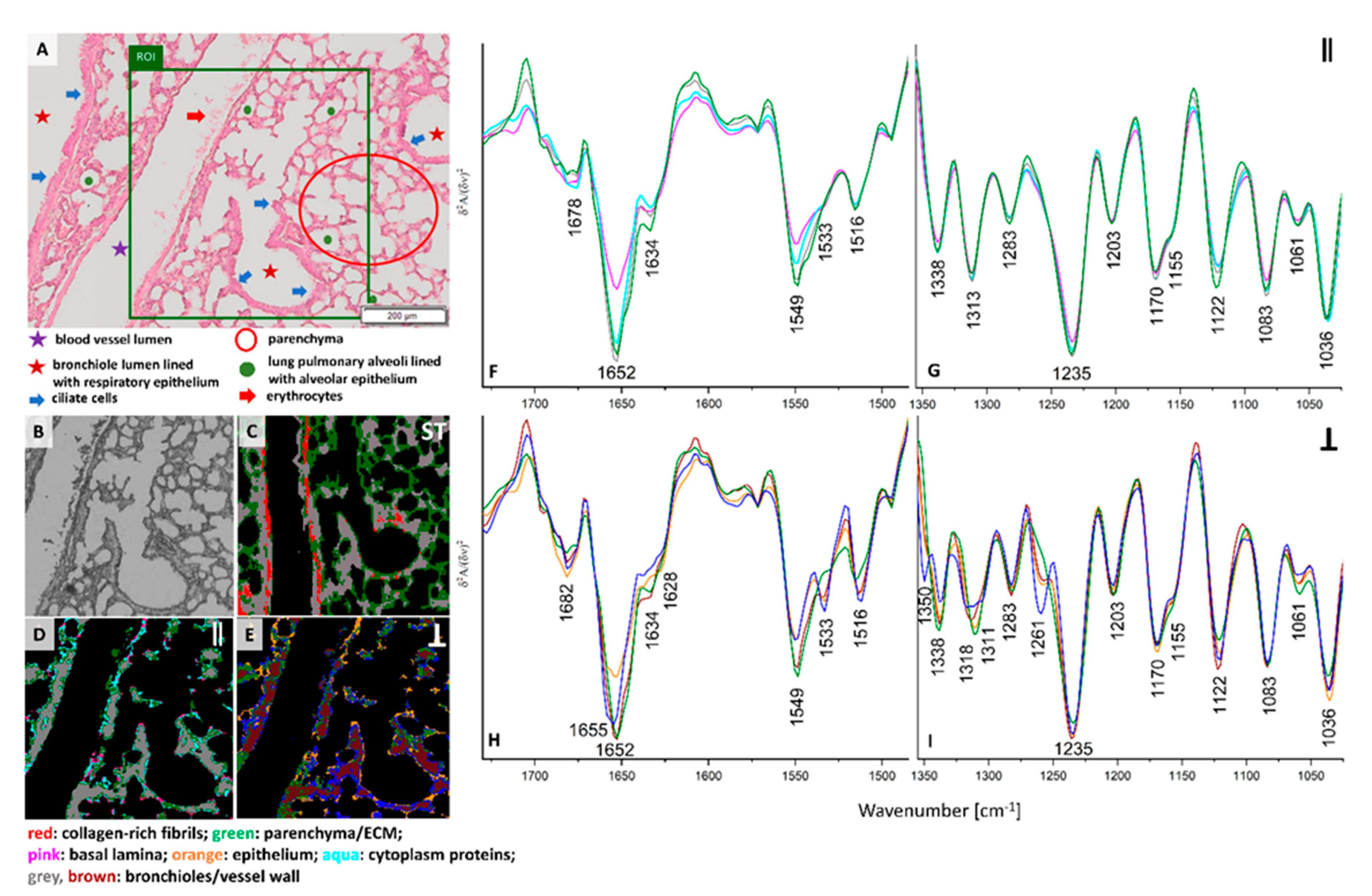 Cancers 13 00162 g001 Cancers 13 00162 g001