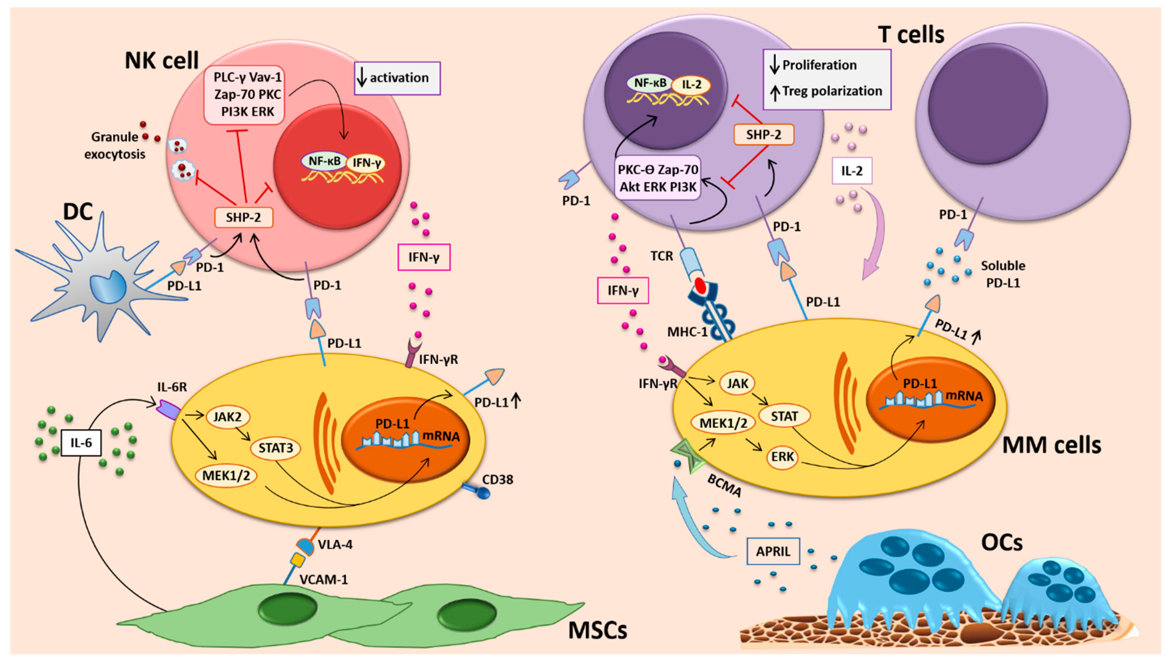Cancers 13 00164 g001