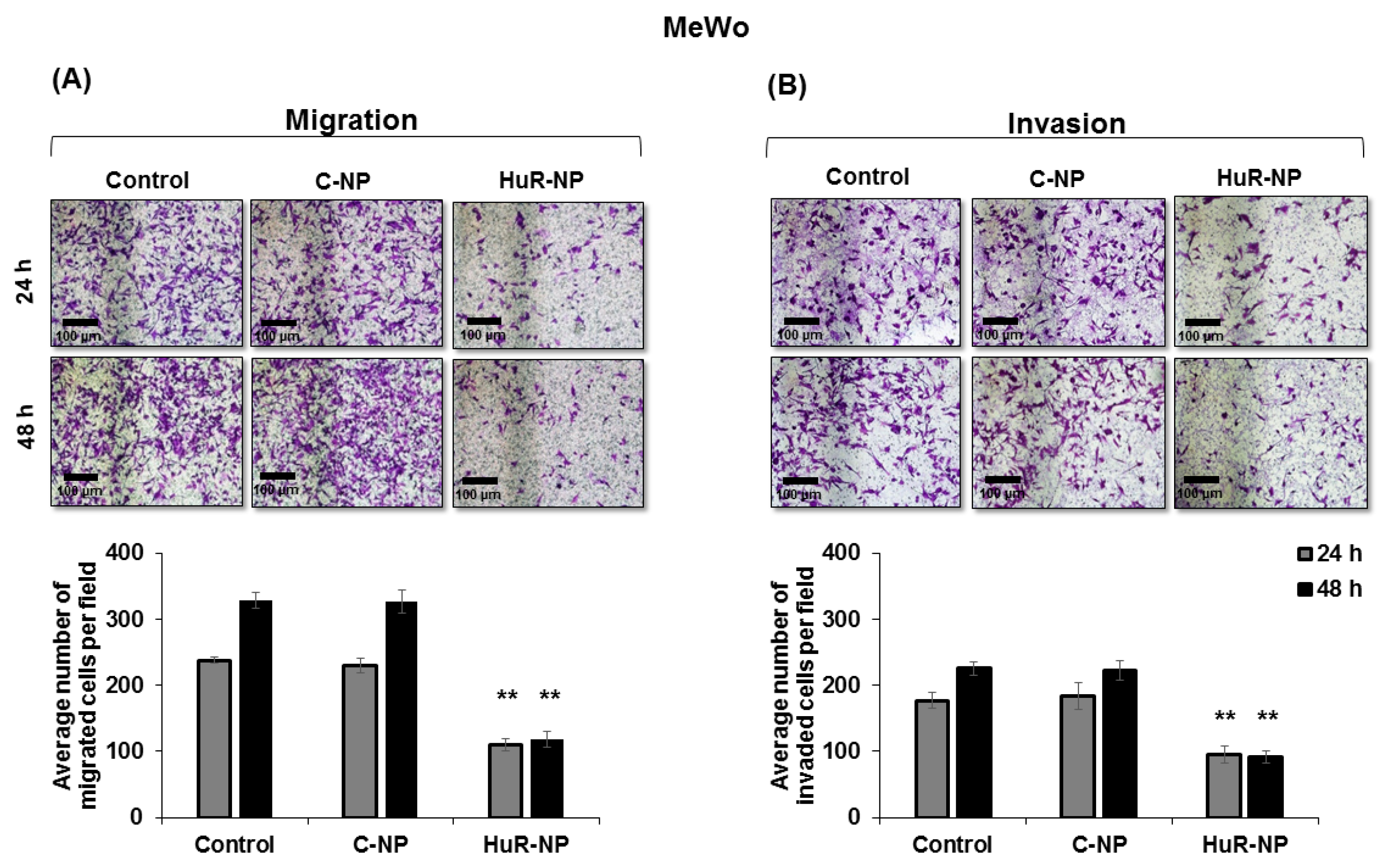 Cancers 13 00166 g005