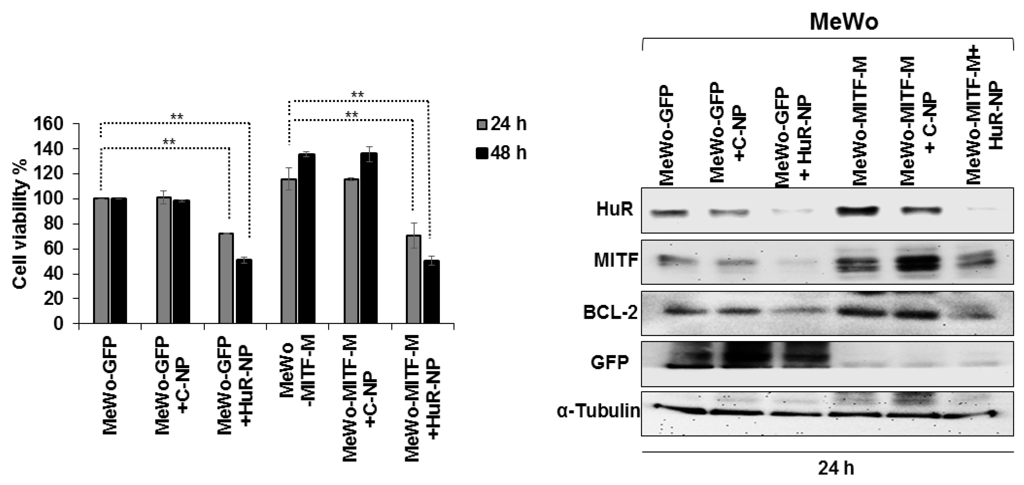 Cancers 13 00166 g008