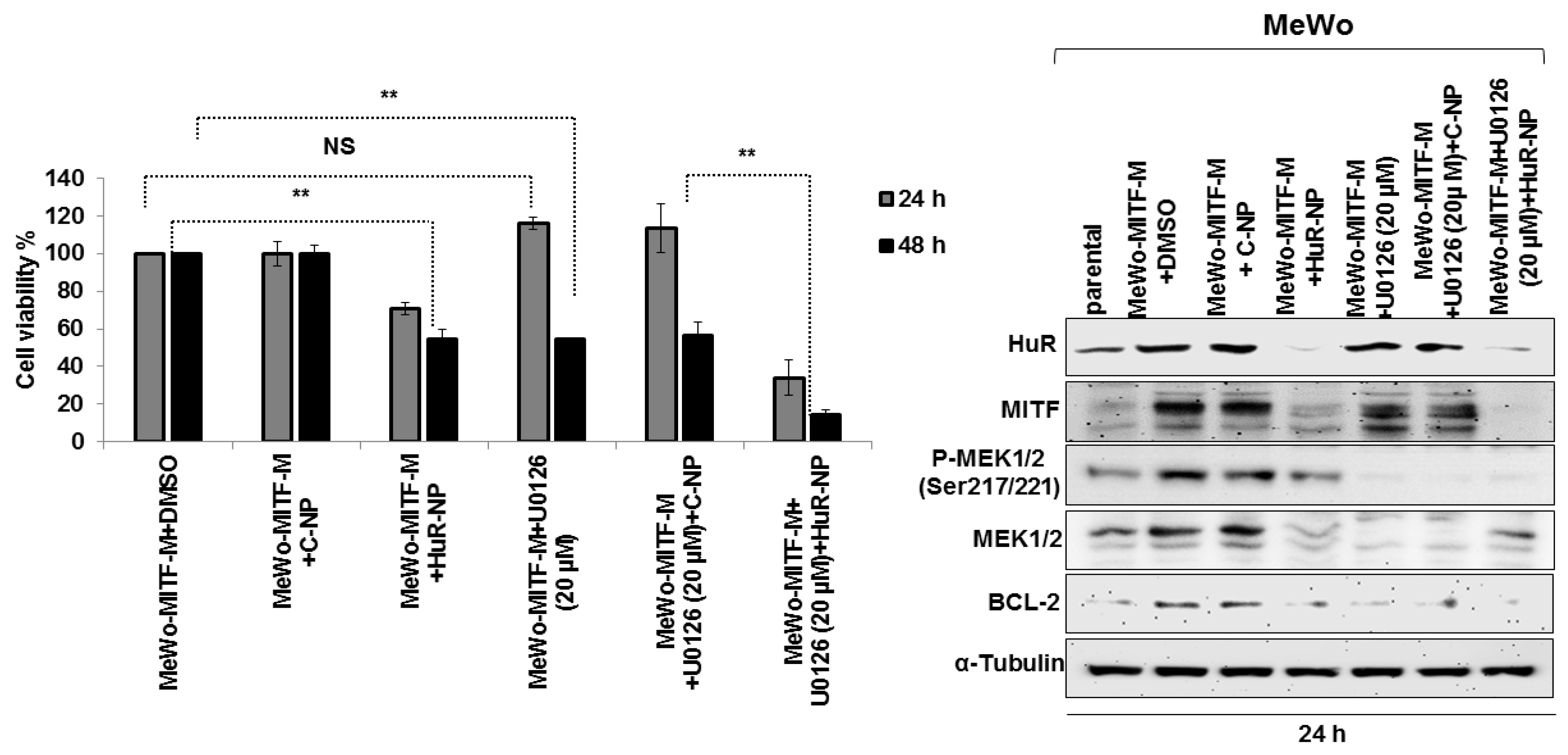 Cancers 13 00166 g009