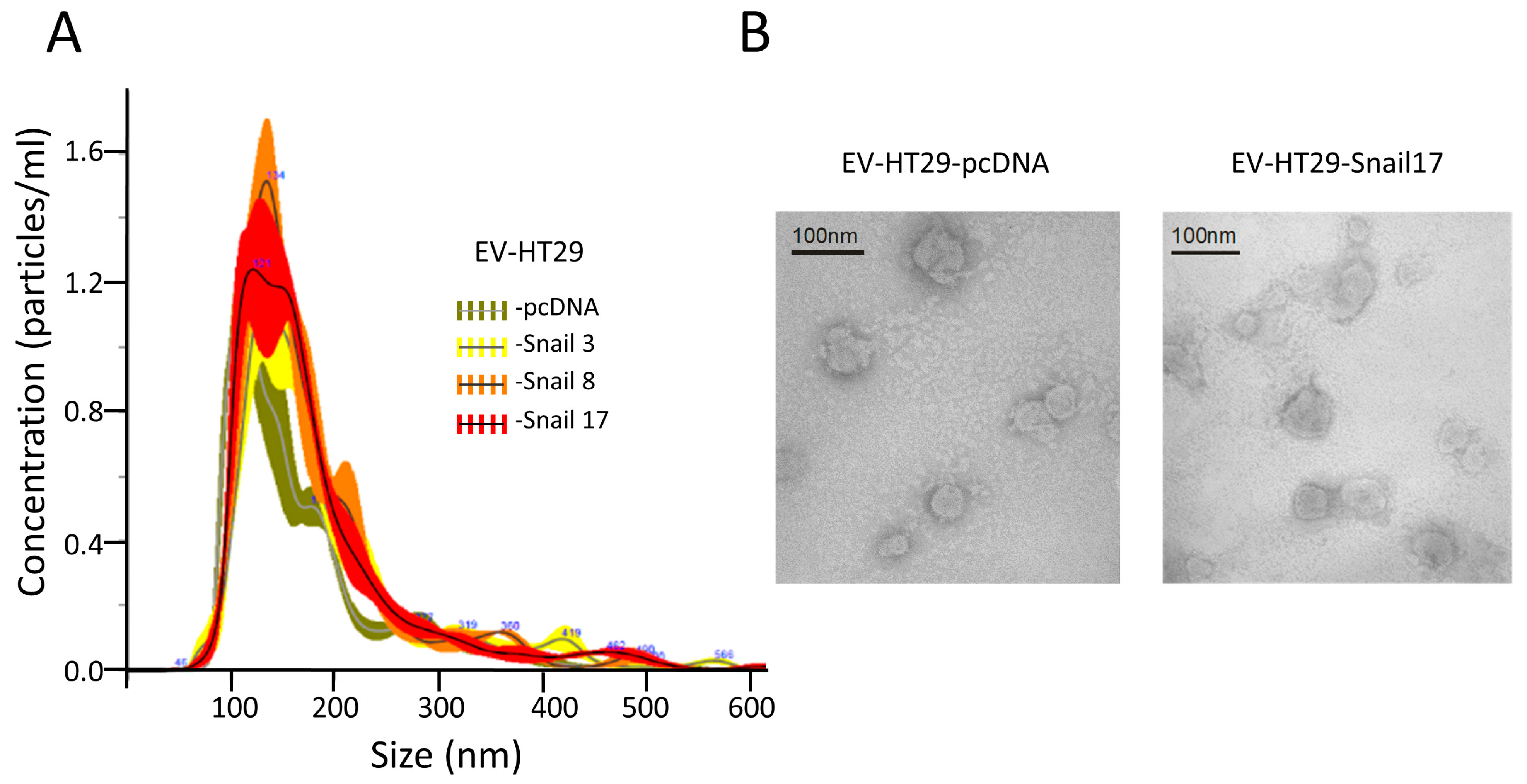 Cancers 13 00172 g001