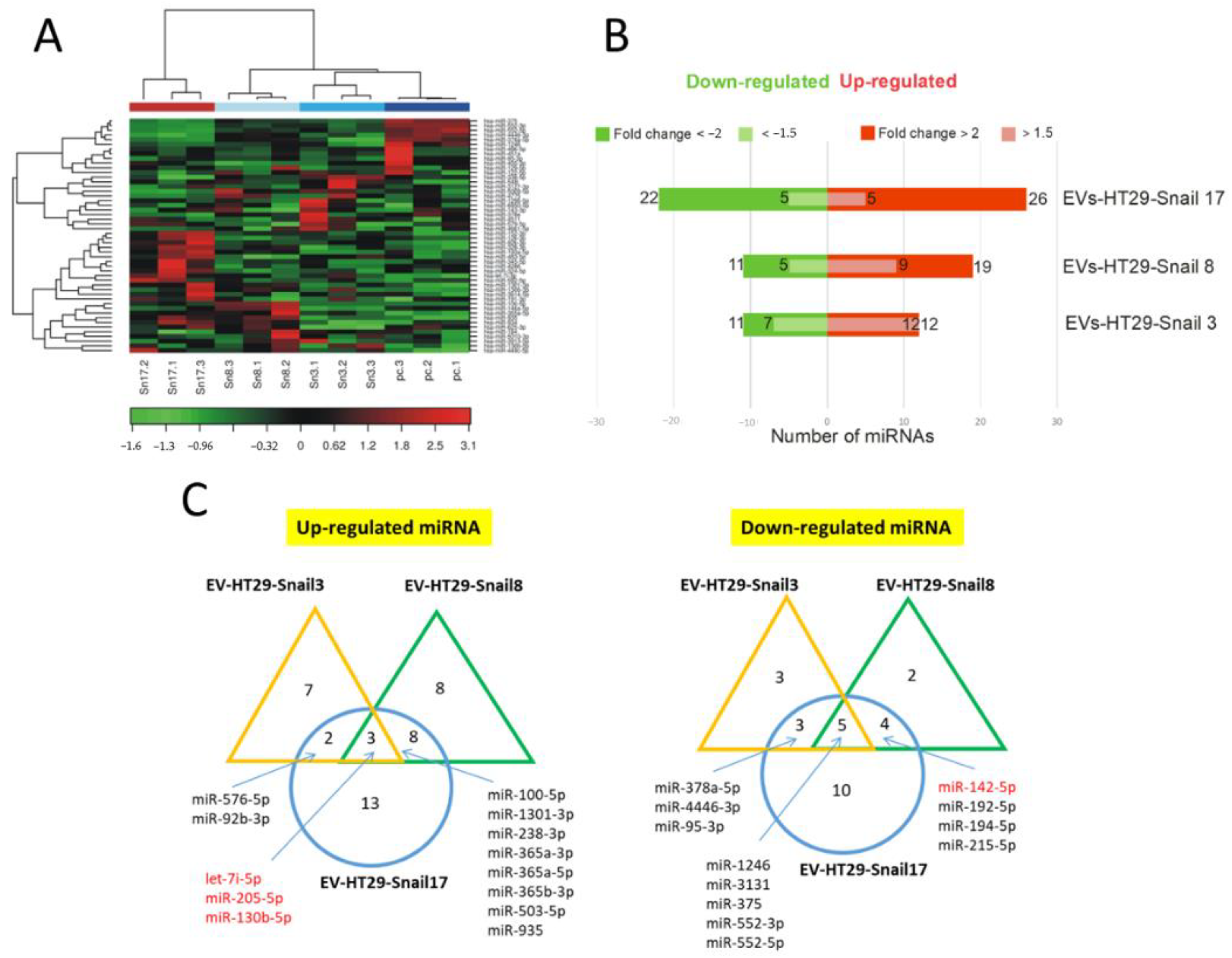 Cancers 13 00172 g002