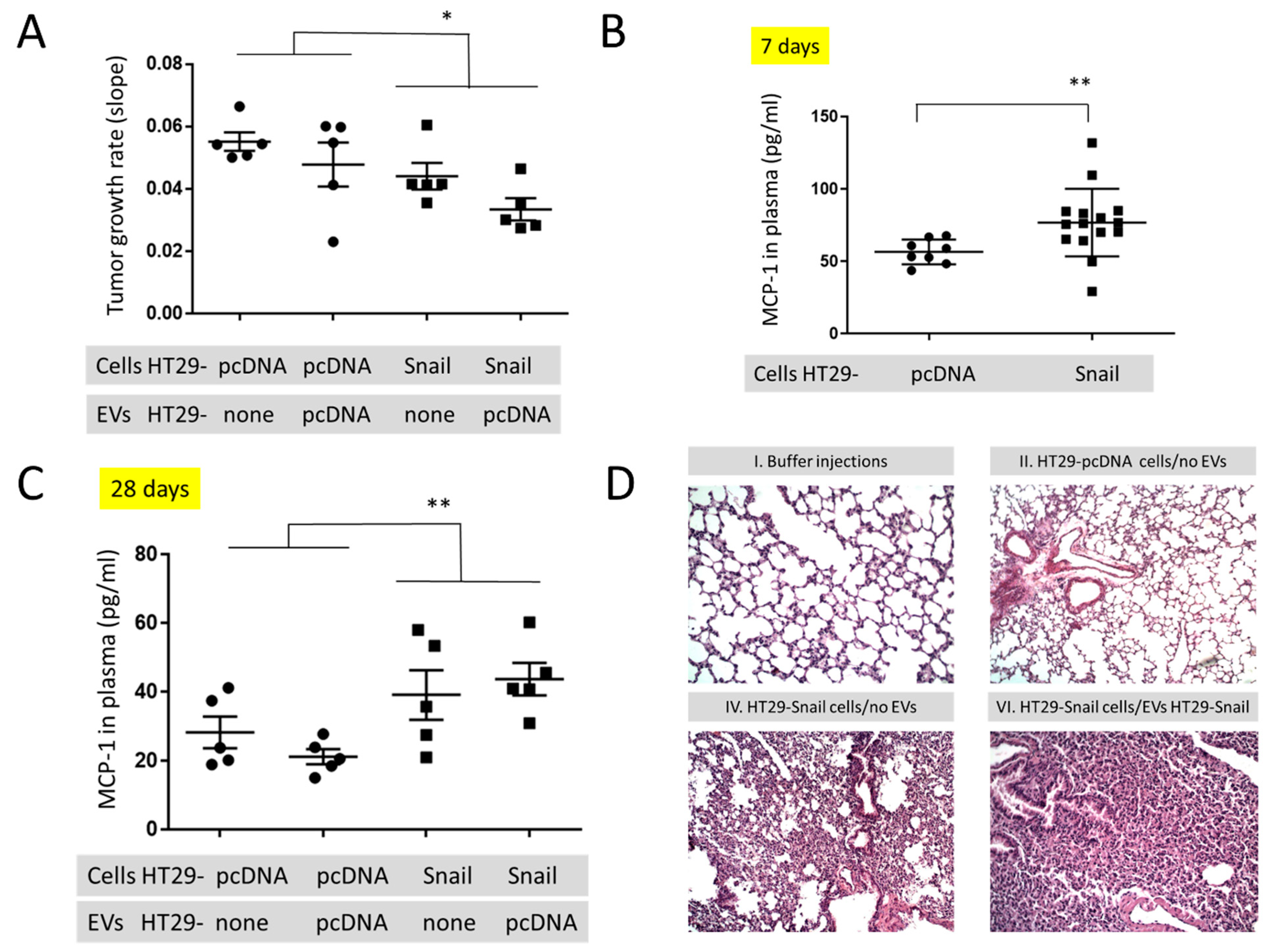 Cancers 13 00172 g003