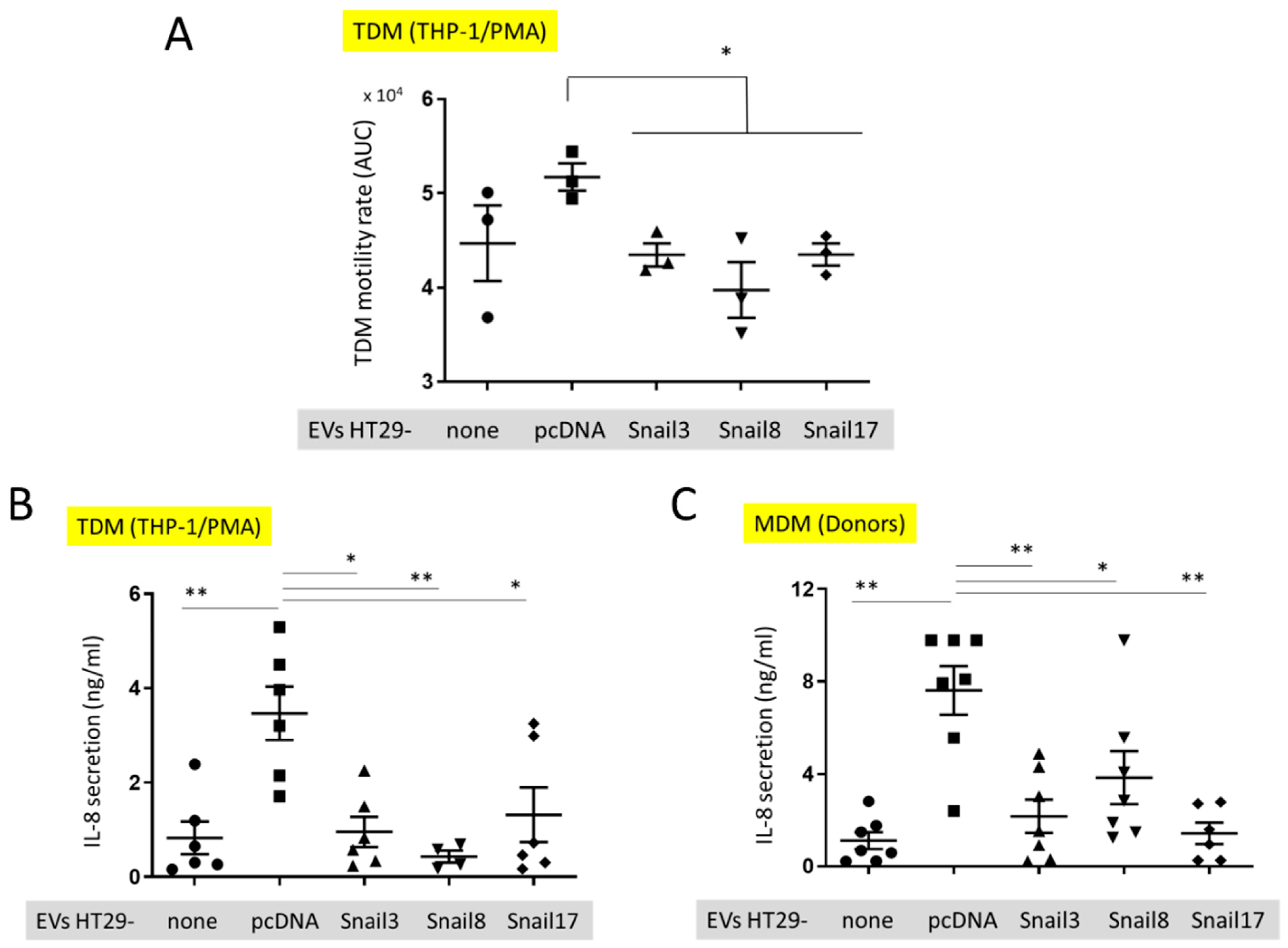 Cancers 13 00172 g005