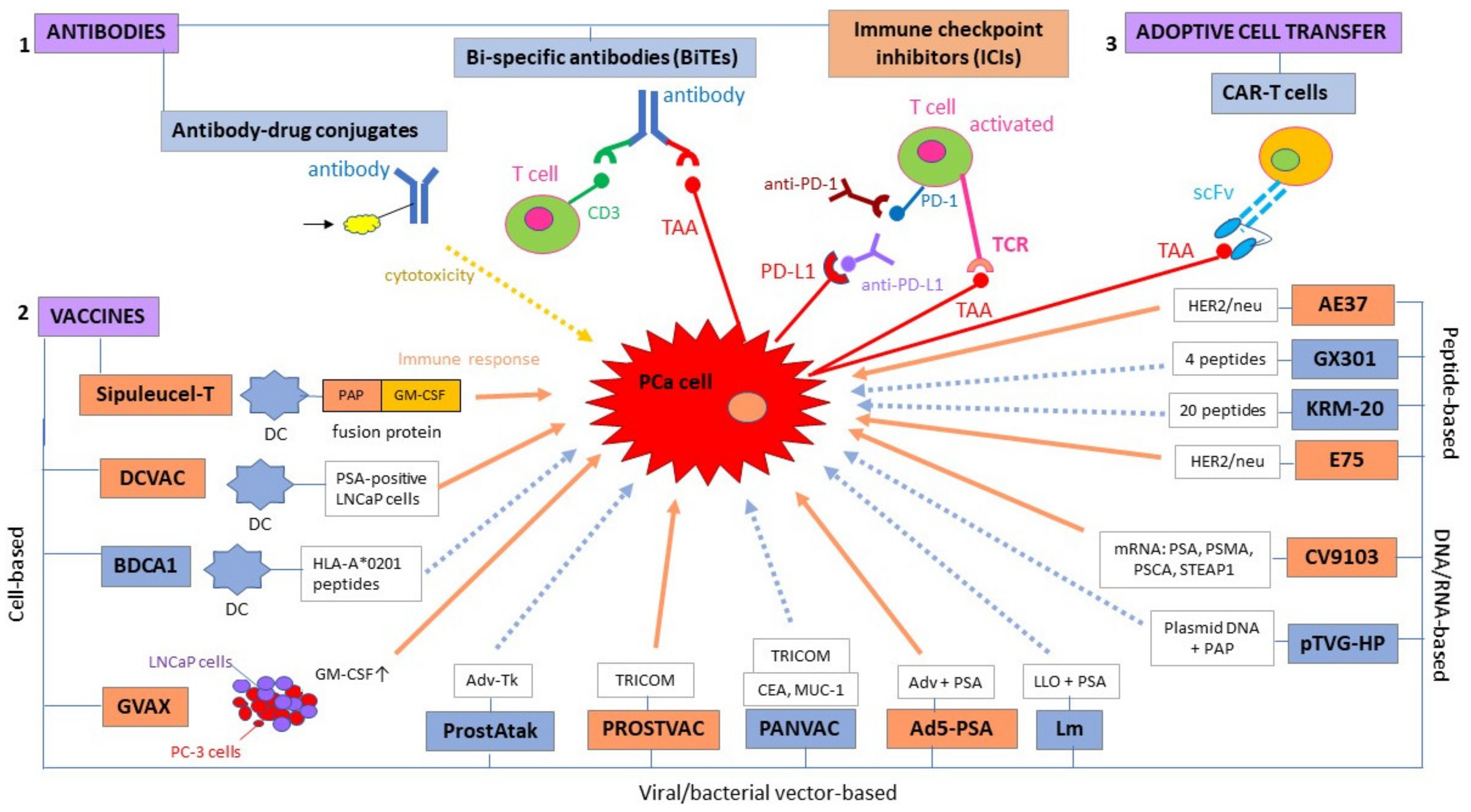 Cancers 13 00173 g001