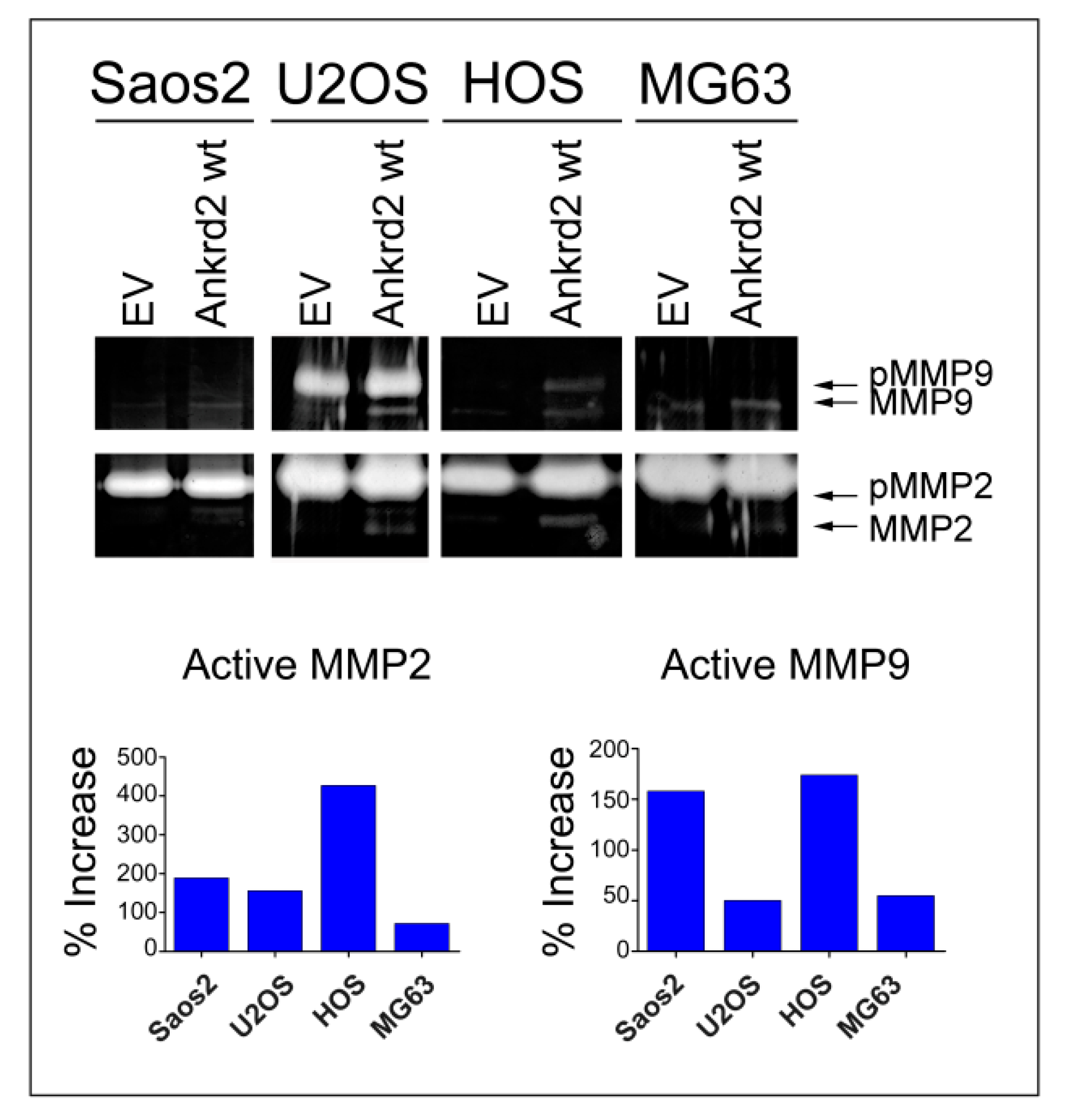 Cancers 13 00174 g006