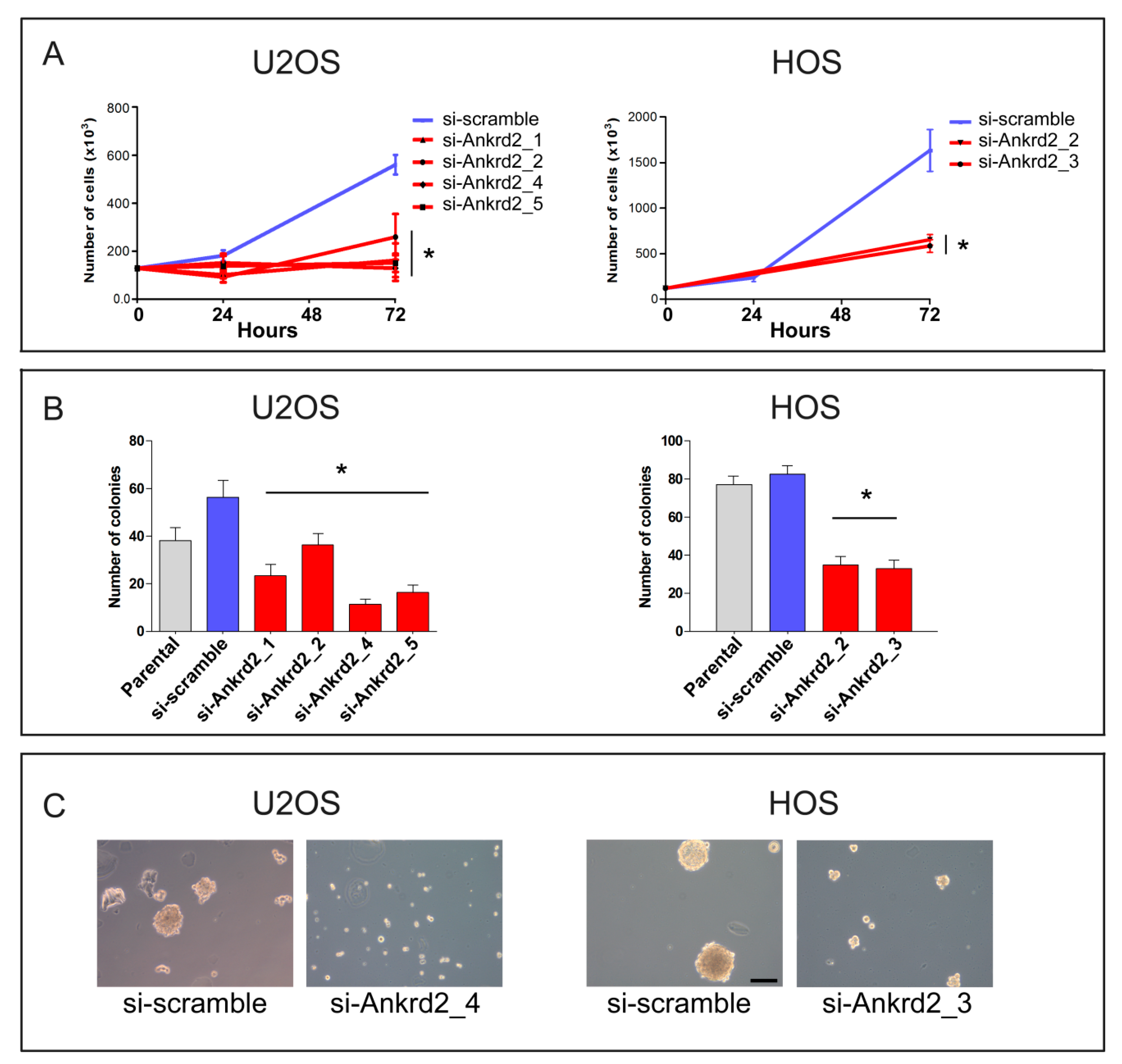 Cancers 13 00174 g007
