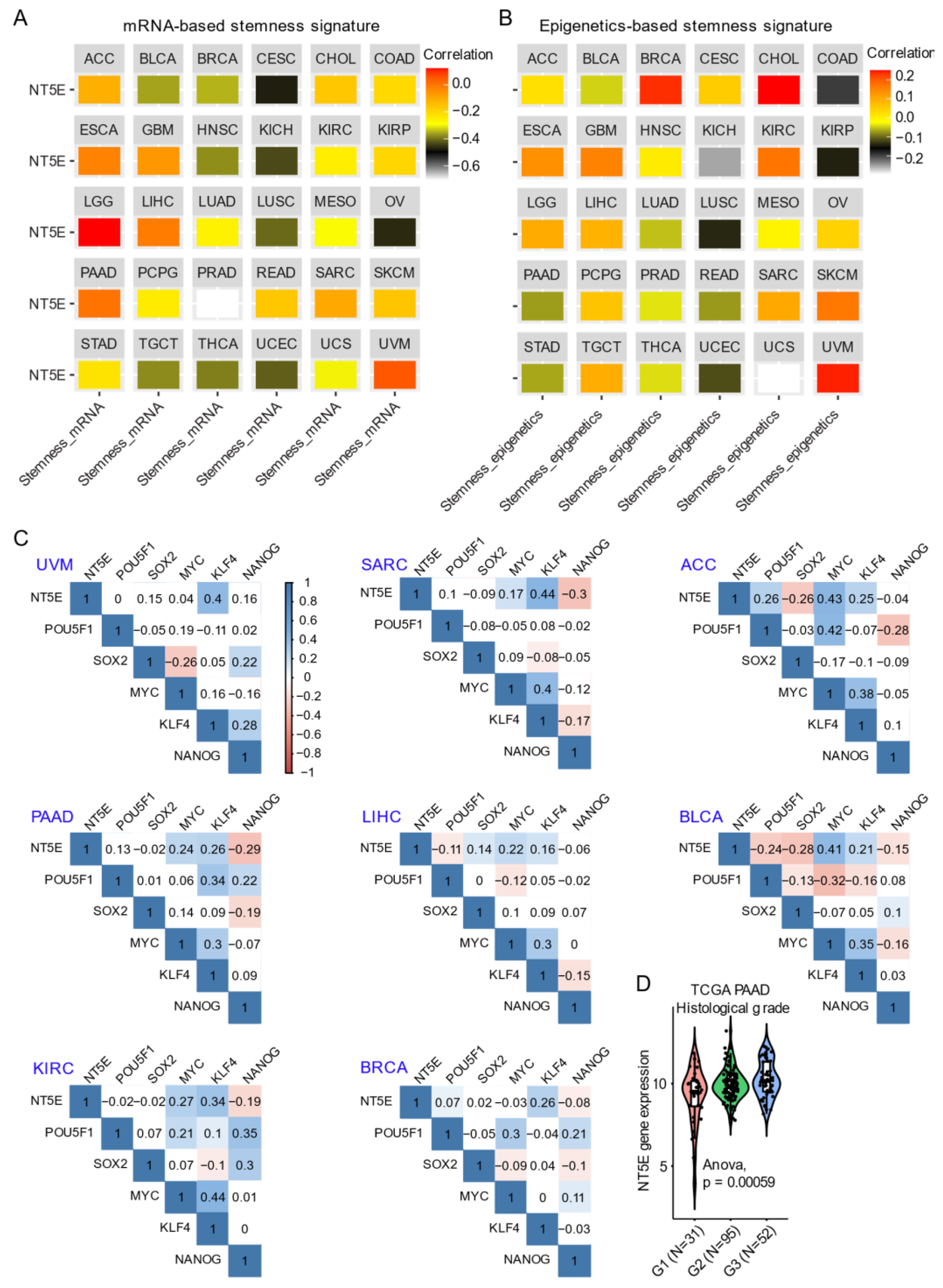 Cancers 13 00177 g002 Cancers 13 00177 g002